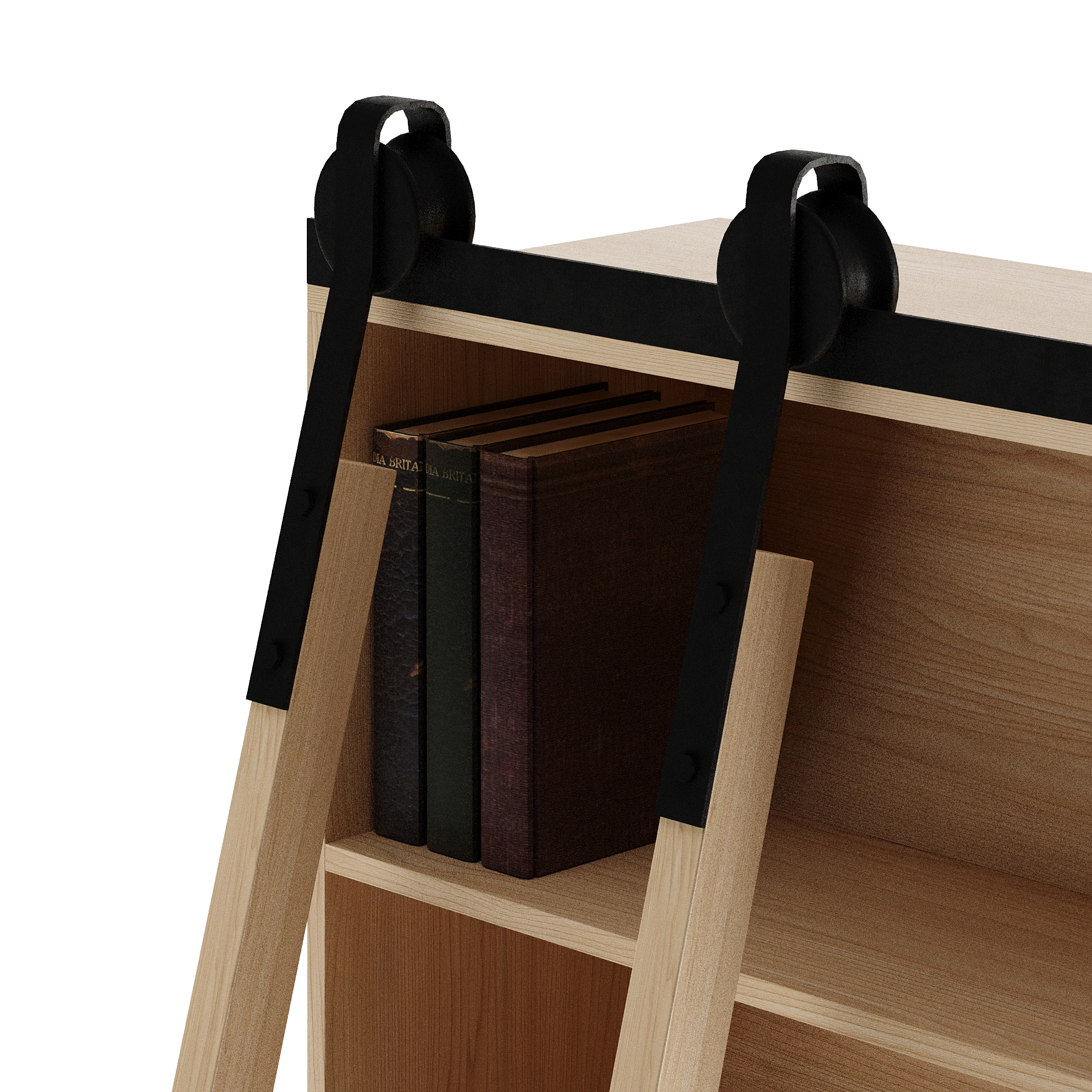 Bane Bookshelf