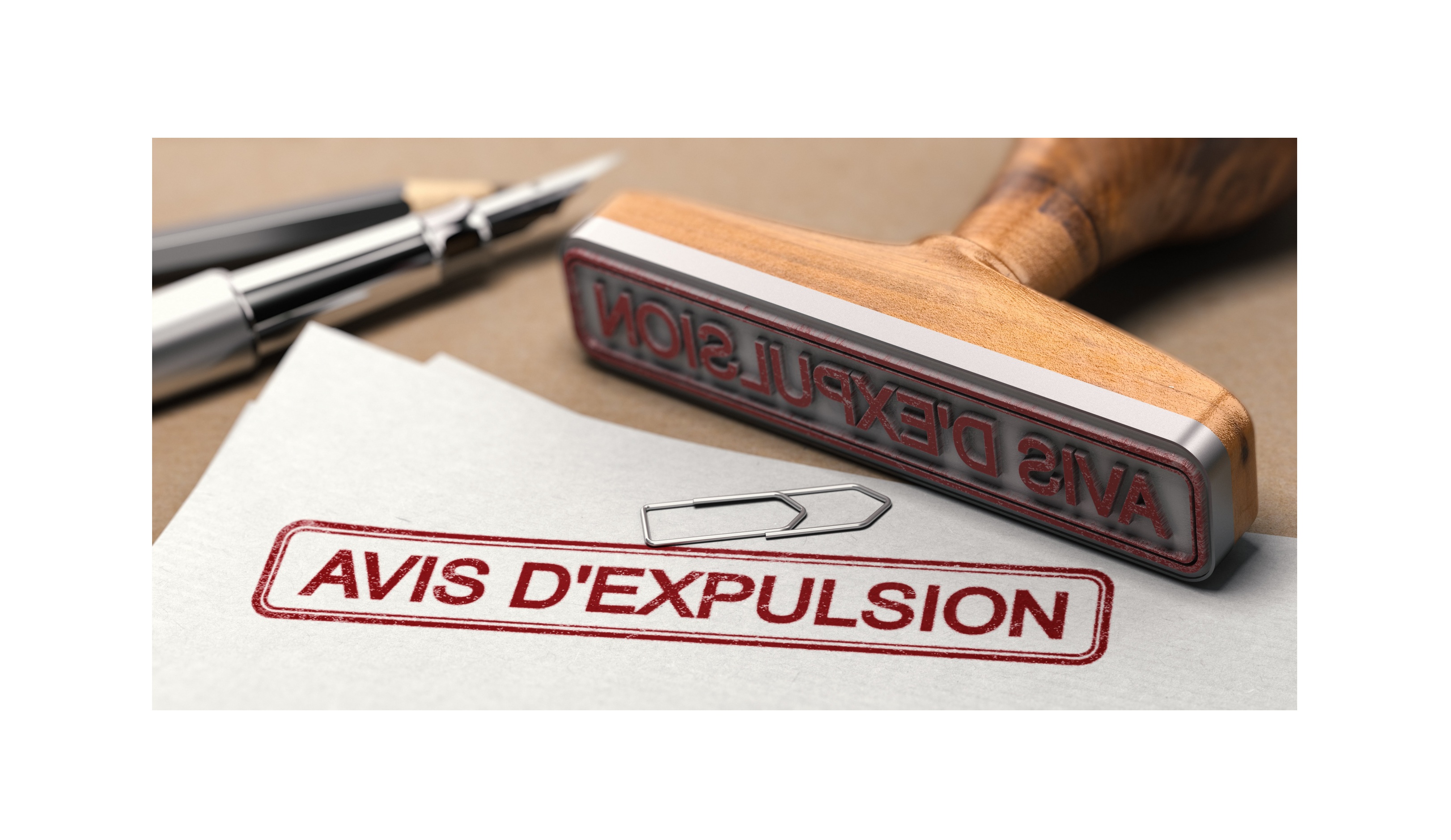 Pack Expulsion (vous êtes bailleur)