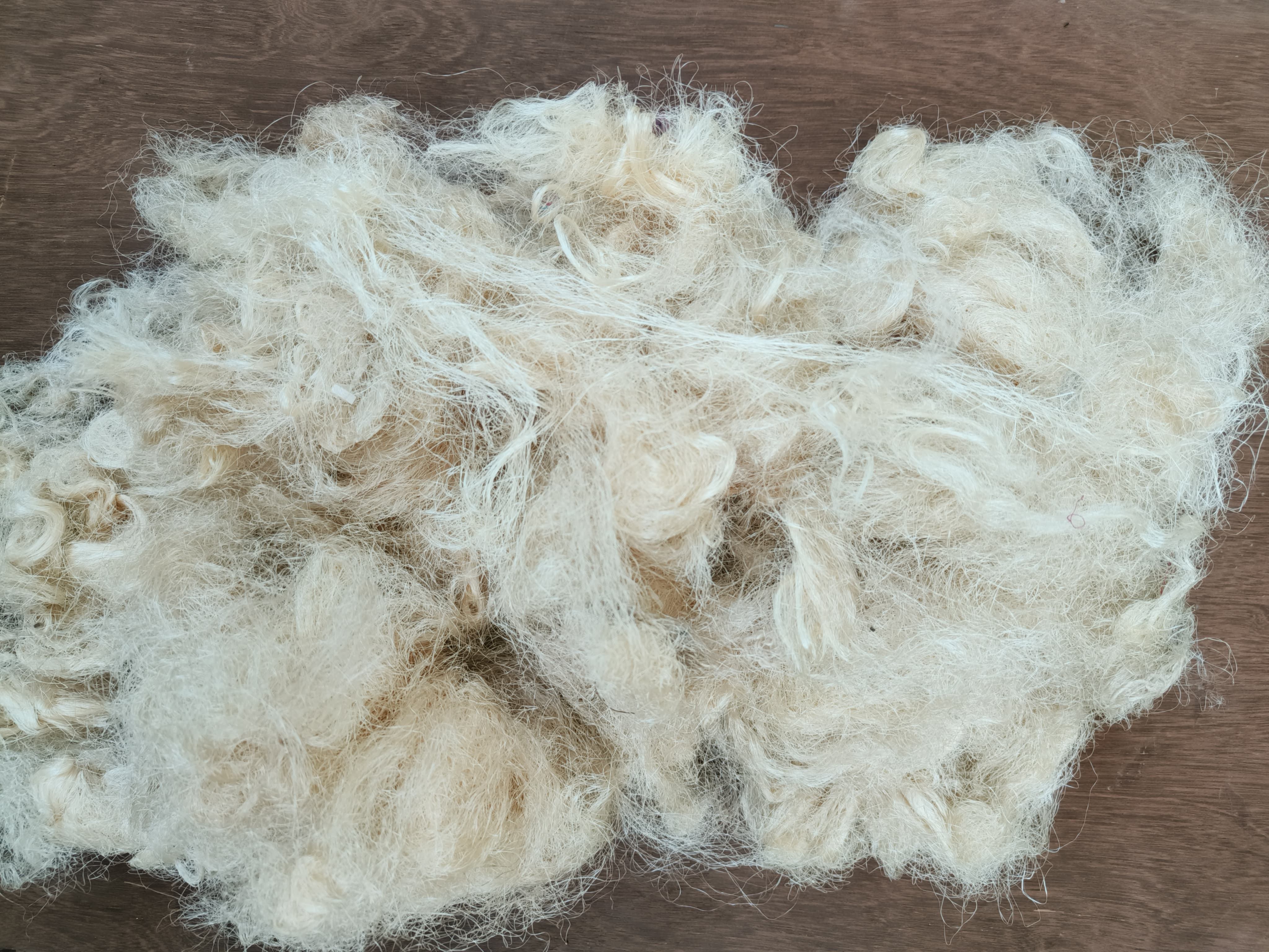 Tussar Waste Fiber
