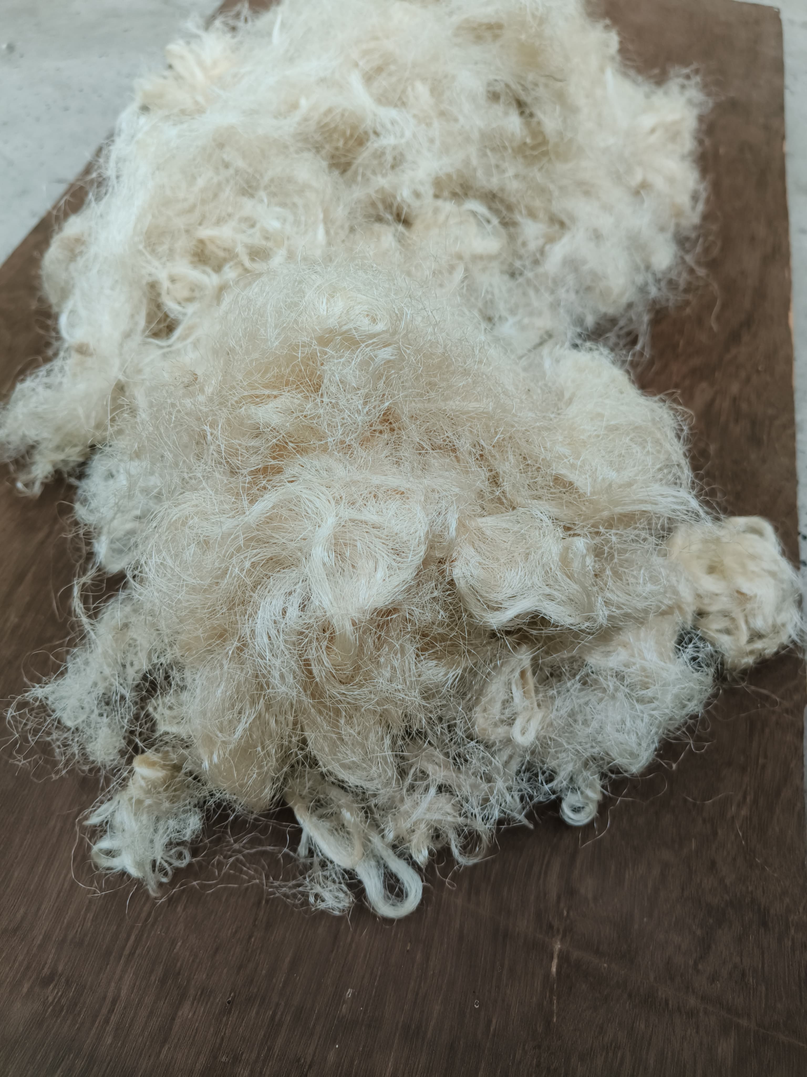 Tussar Waste Fiber