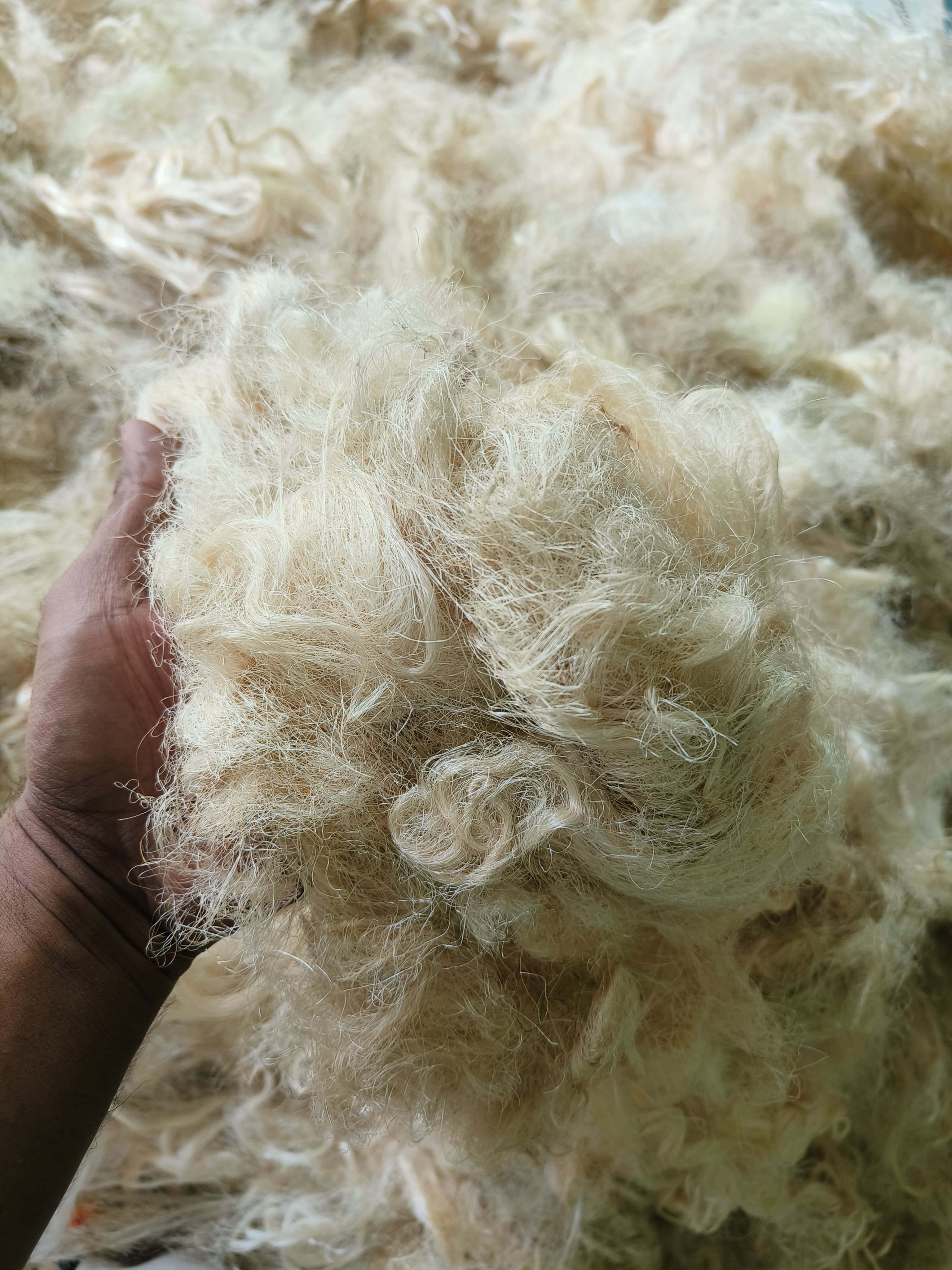 Tussar Waste Fiber