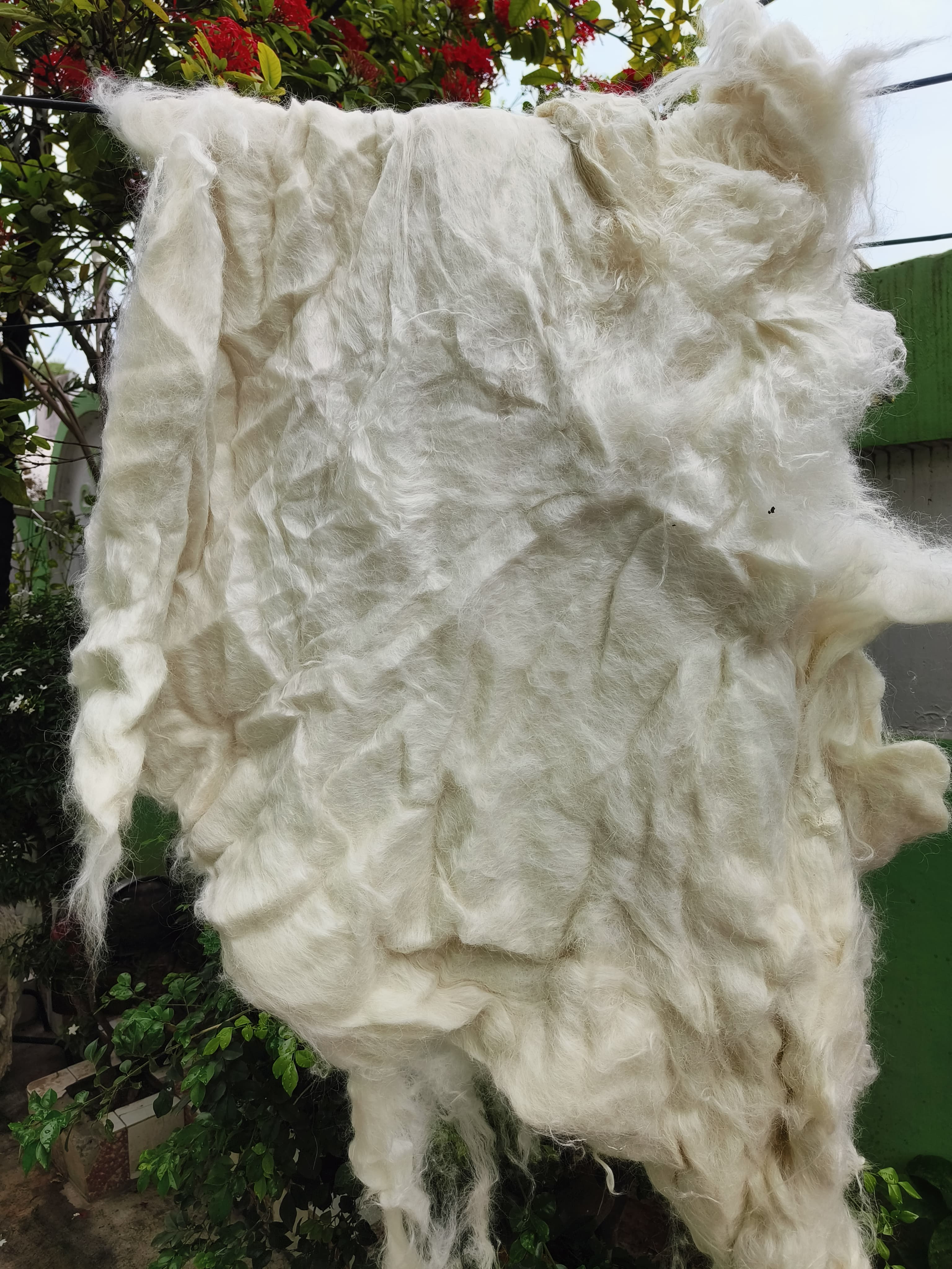 Raw Silk-Wool Mix Sheet