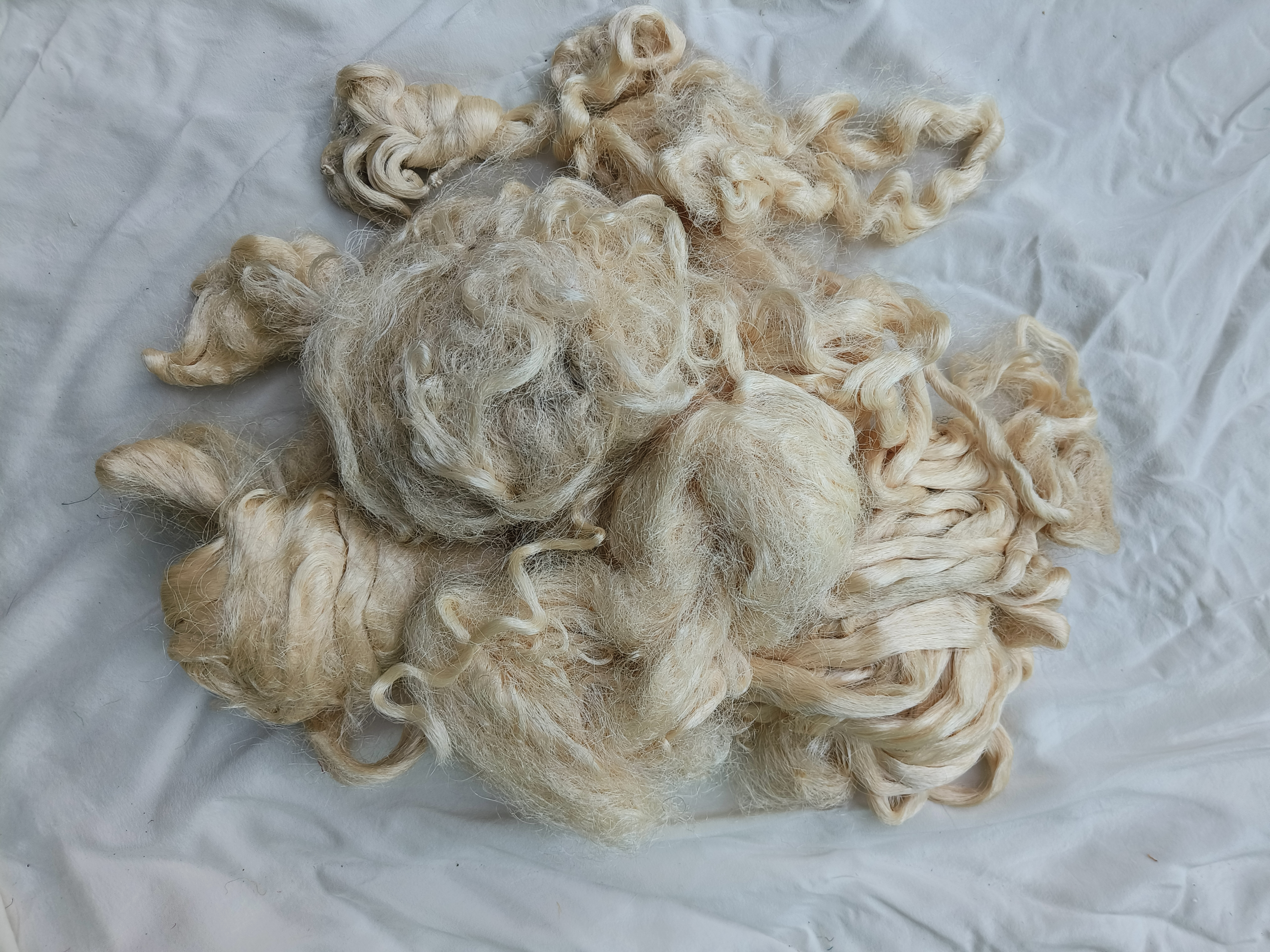 Tassar Waste Fiber & Handspun Yarn 5kg Price
