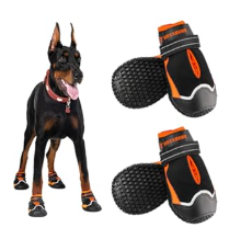 Durable Dog Boots for Large Breeds