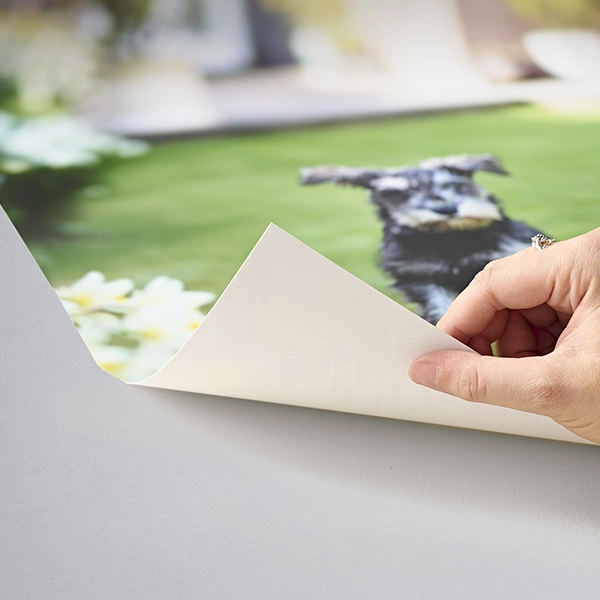 Impresiones Fotográficas Clásicas 12x18"