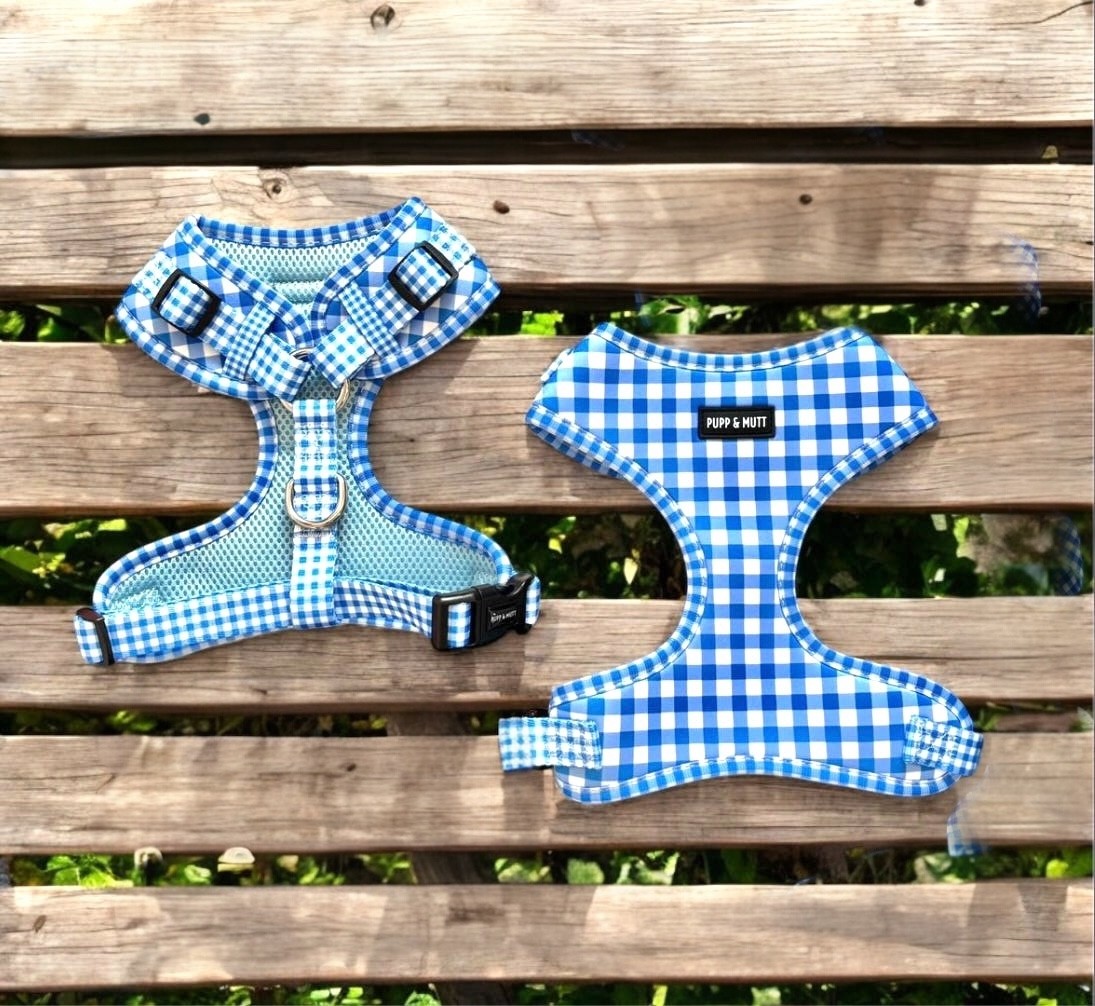 Picnic Pup Harness