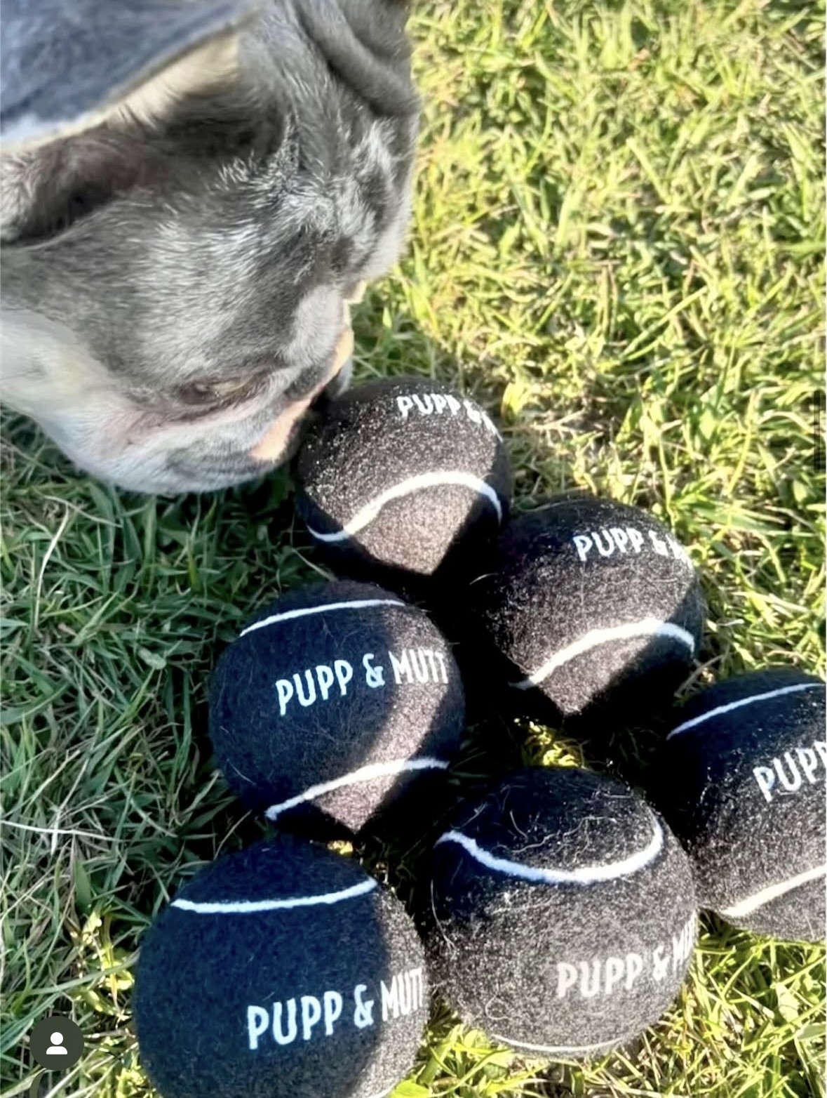 P&M Tennis Ball