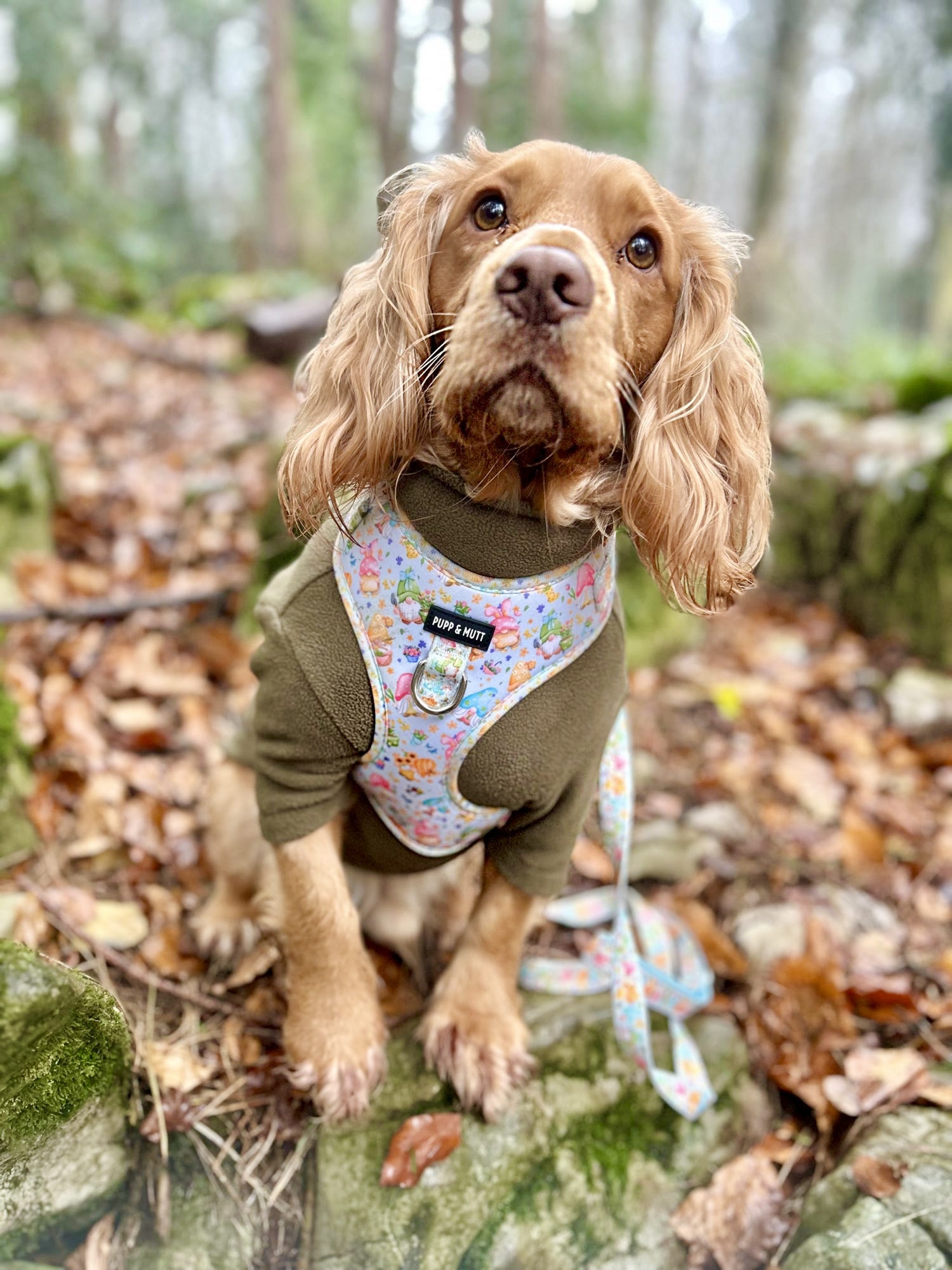 Blooming Gonkgeous Harness