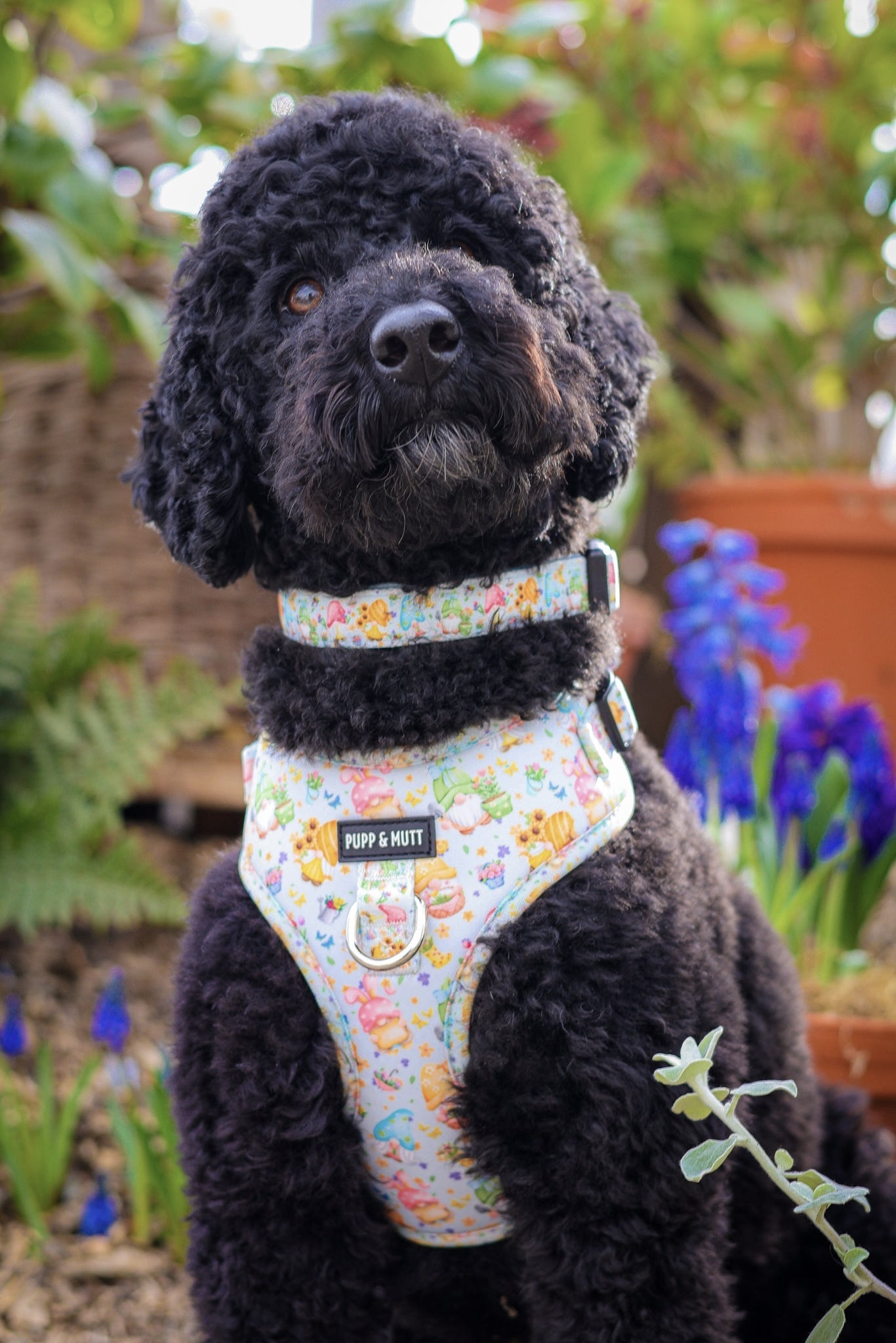 Blooming Gonkgeous Collar