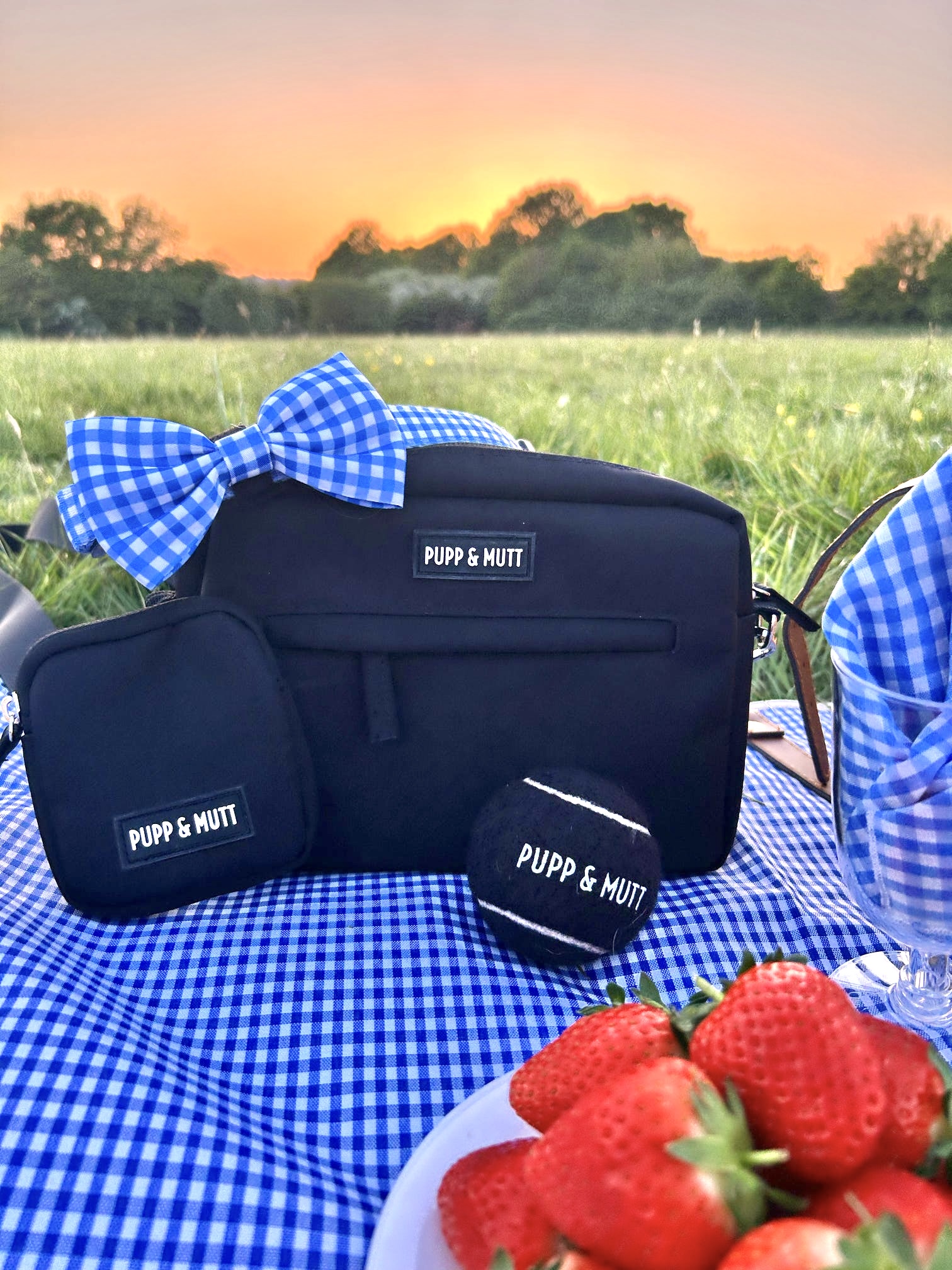 Dog Walking Bag Bundle