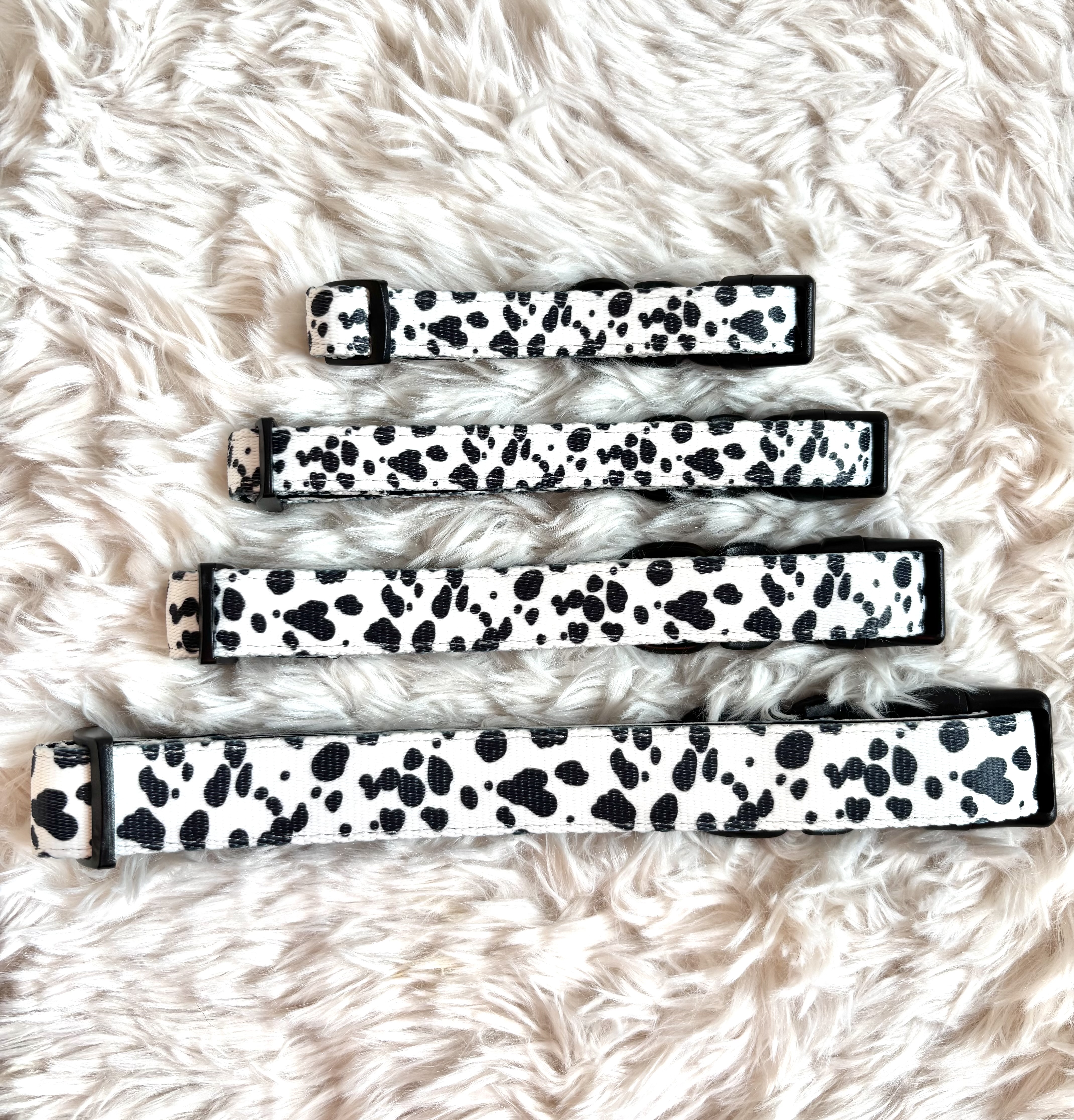 The 101 Collection - Collar