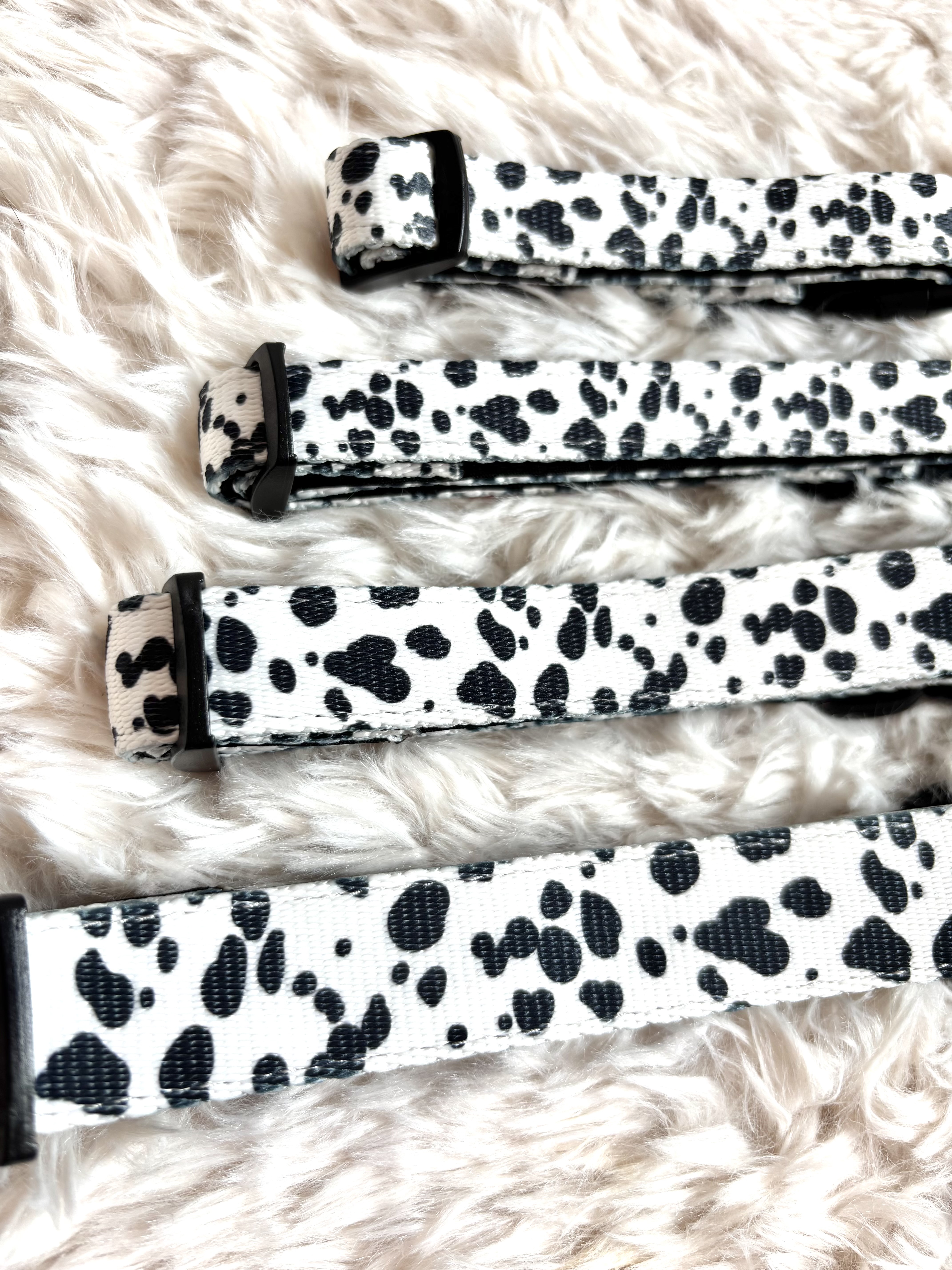 The 101 Collection - Collar