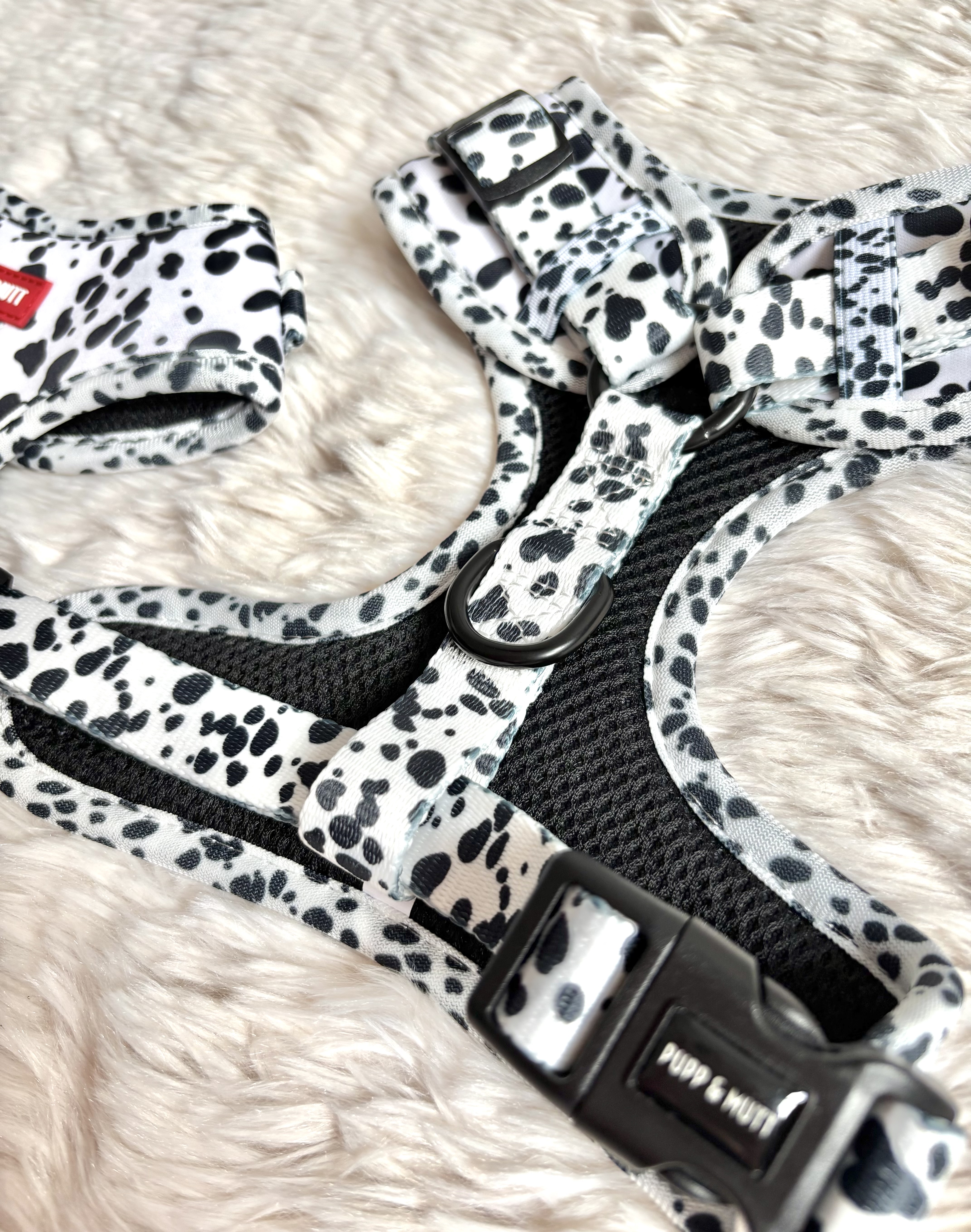 The 101 Collection - Harness
