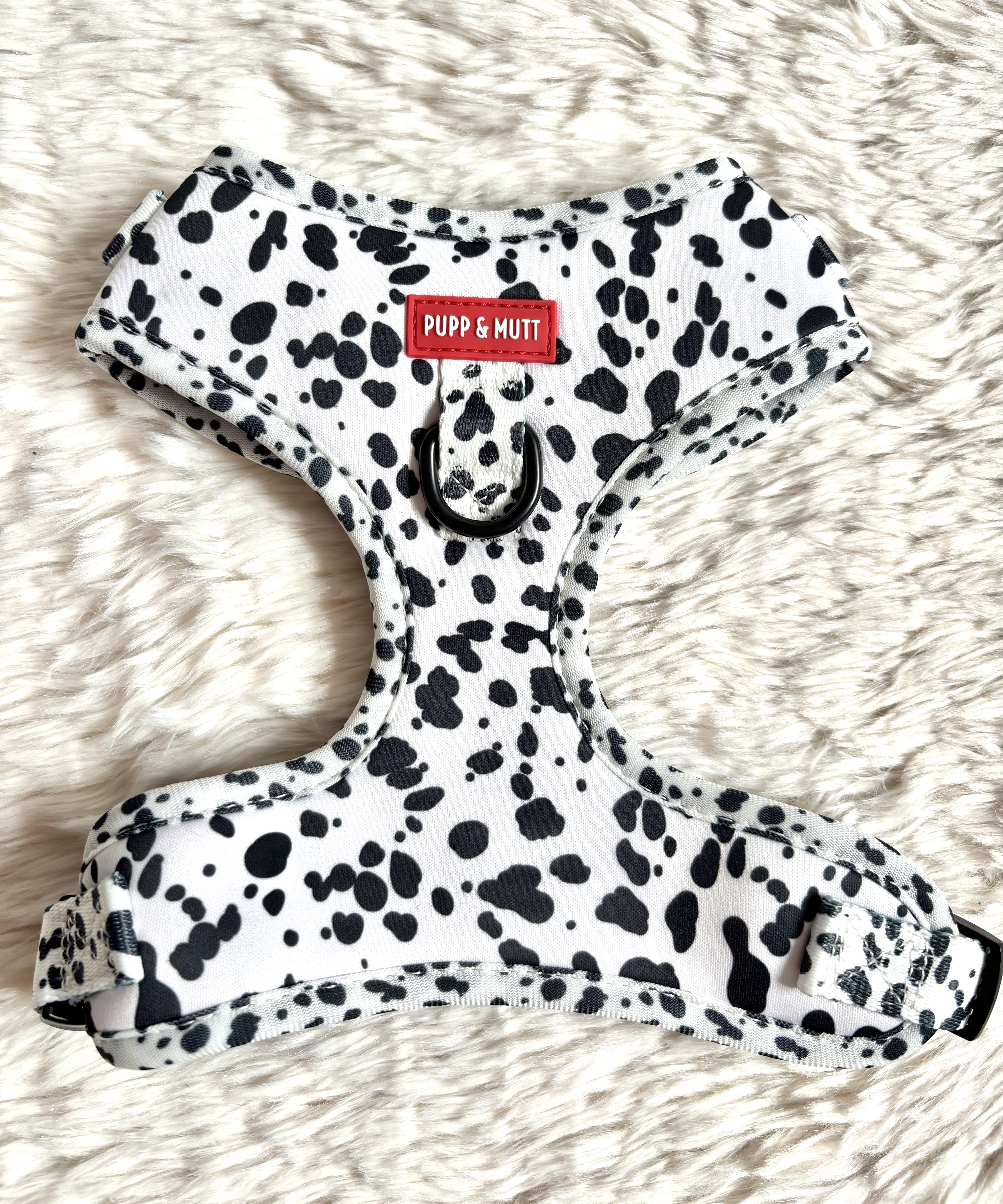 The 101 Collection - Harness