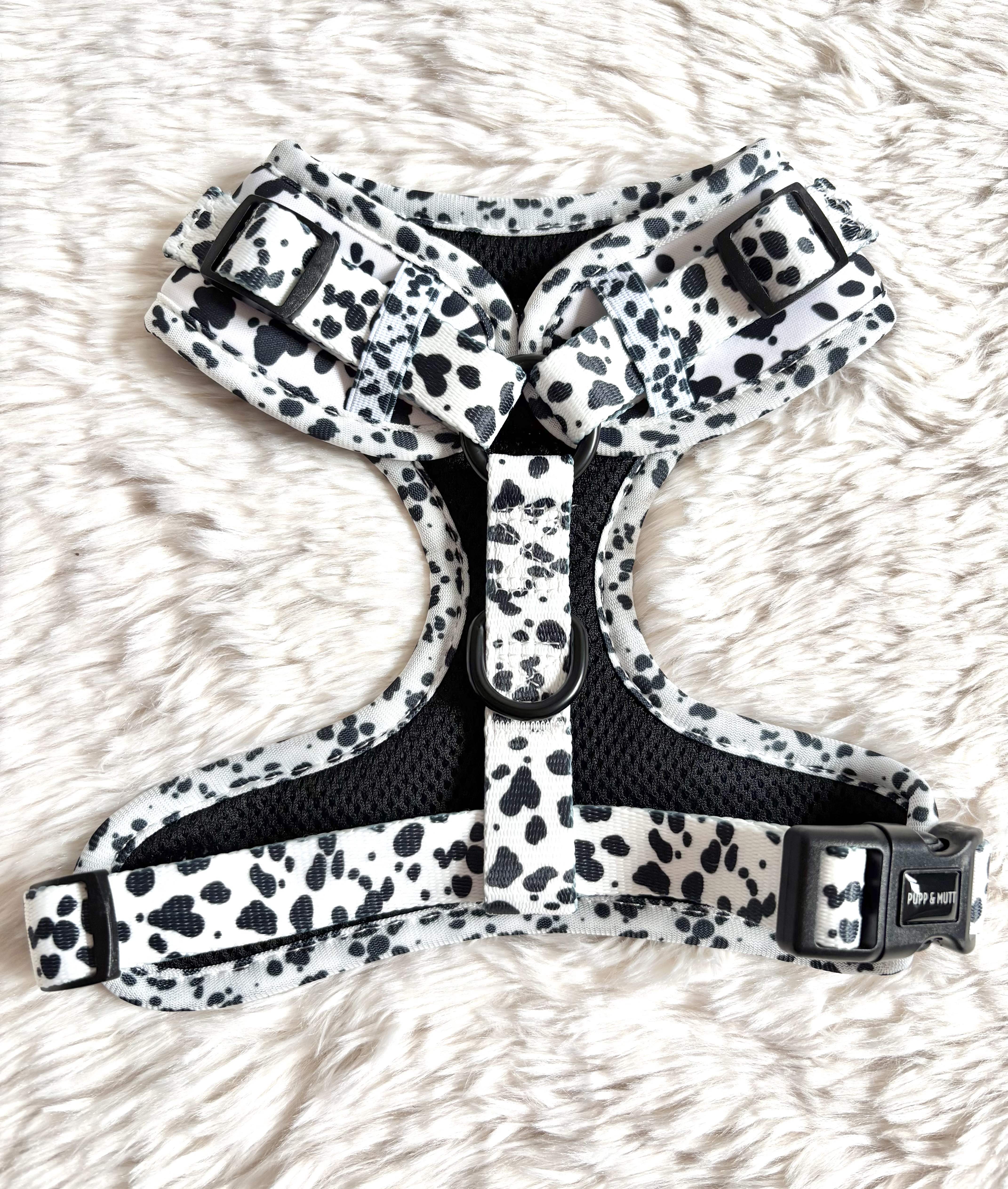 The 101 Collection - Harness