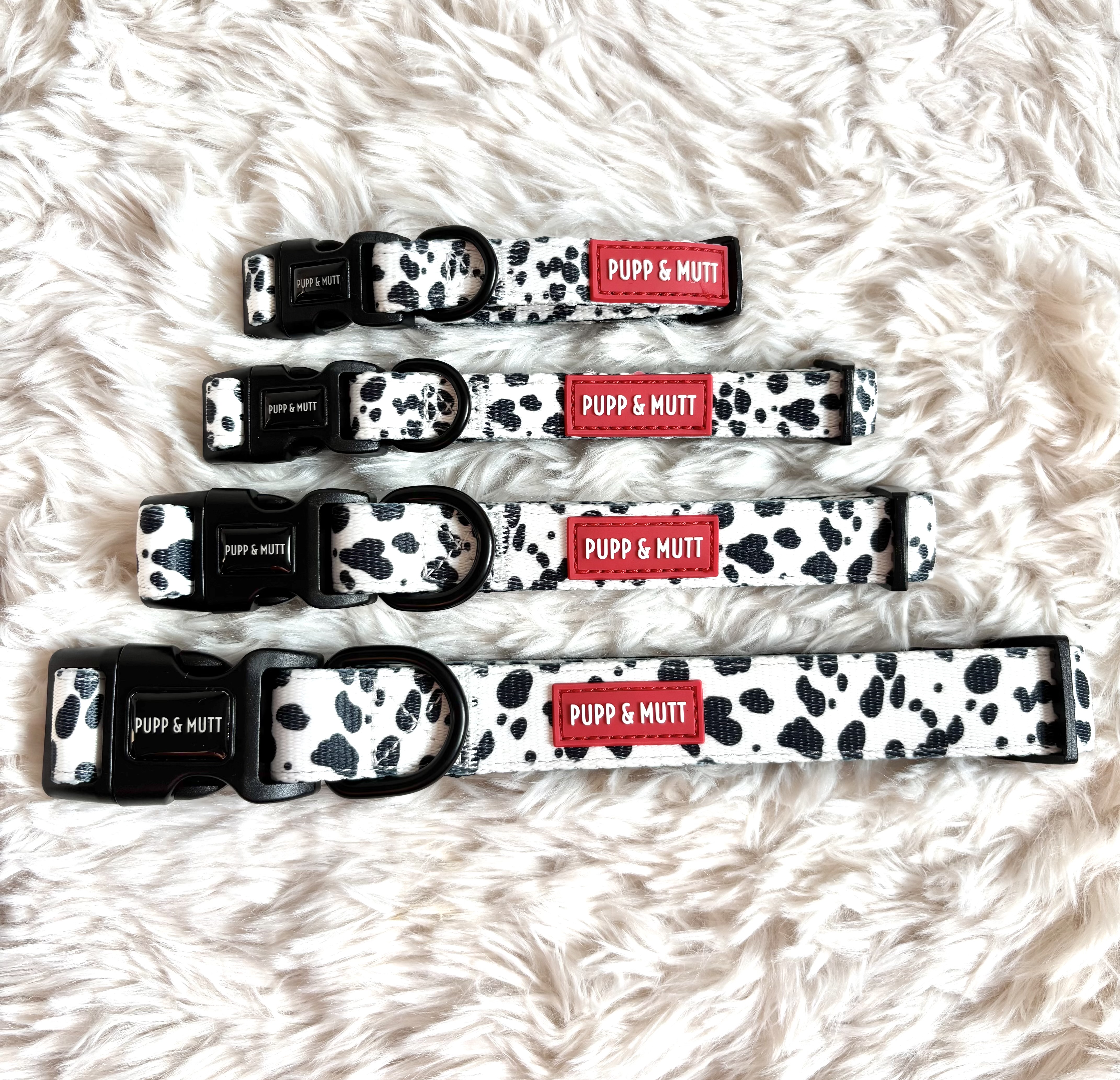 The 101 Collection - Collar