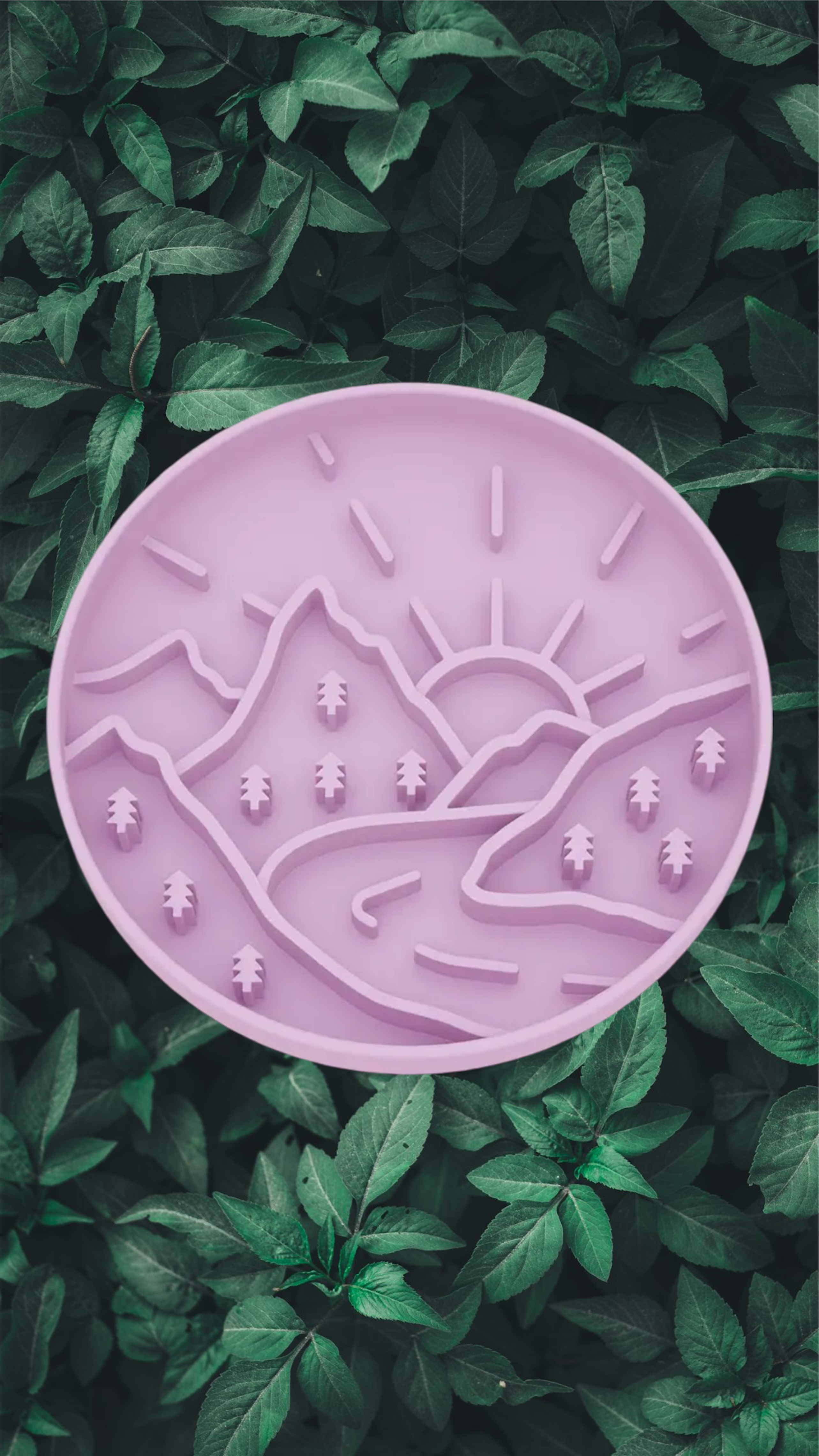Mountain Adventure Enrichment Bowl