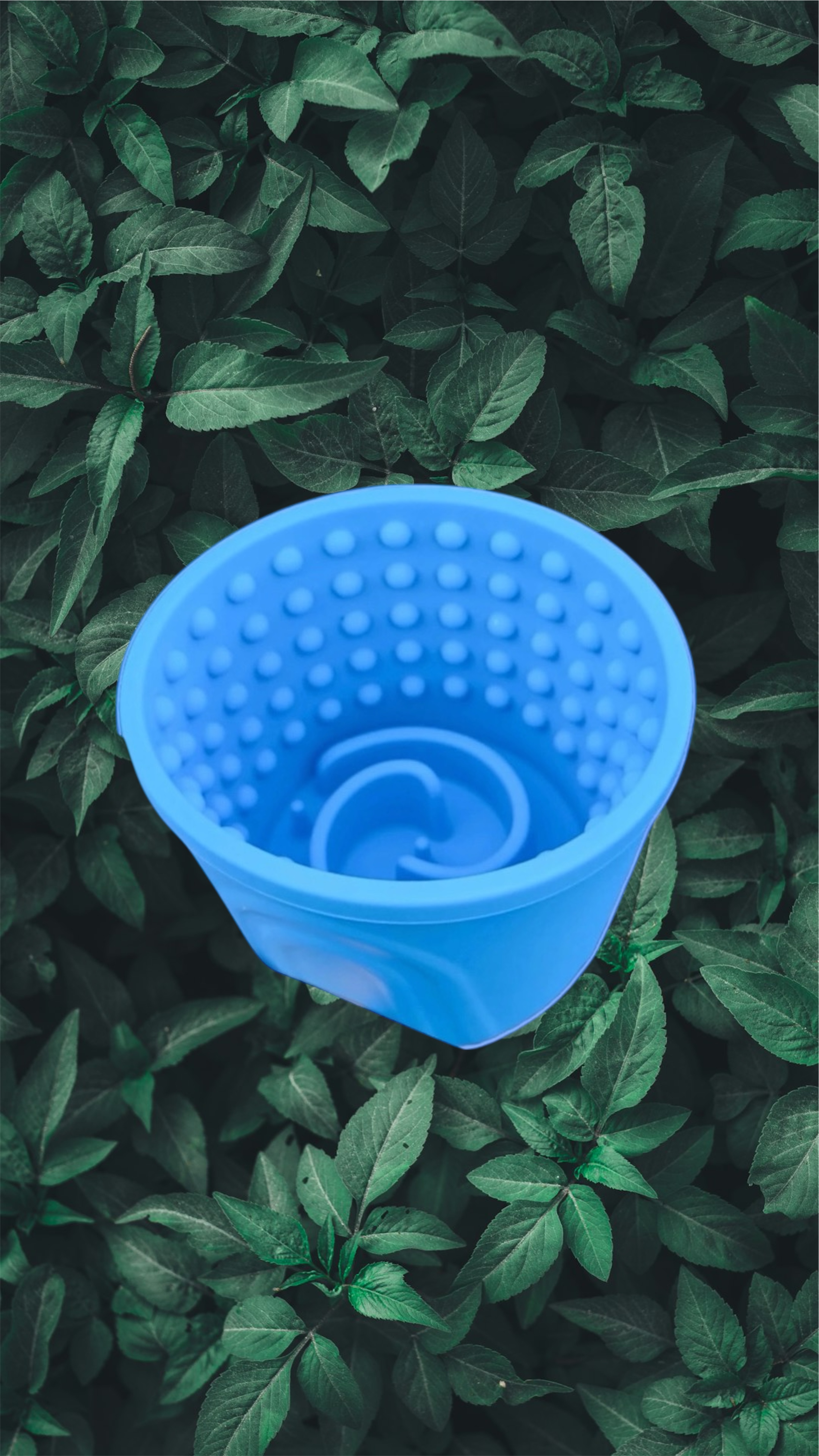 Bubble Lick Pot