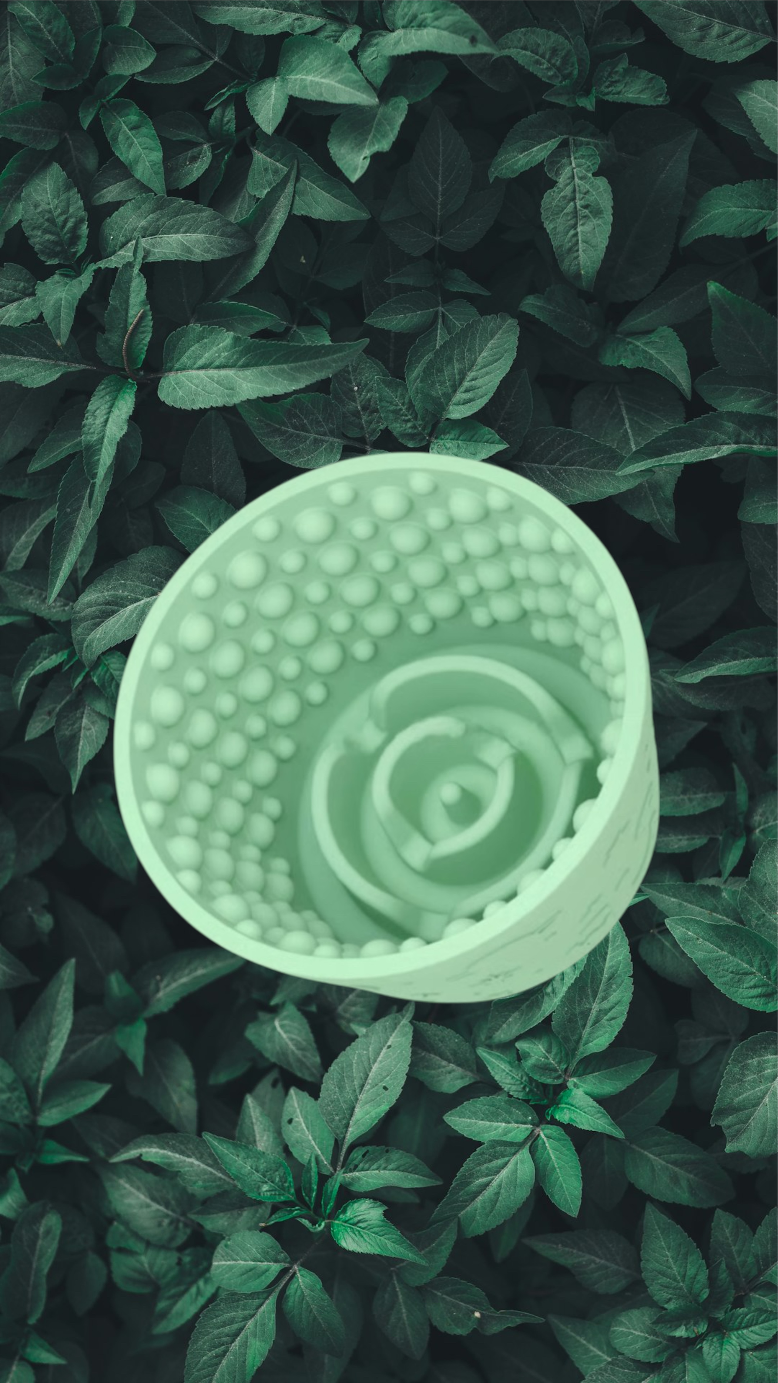 Bubble Lick Pot