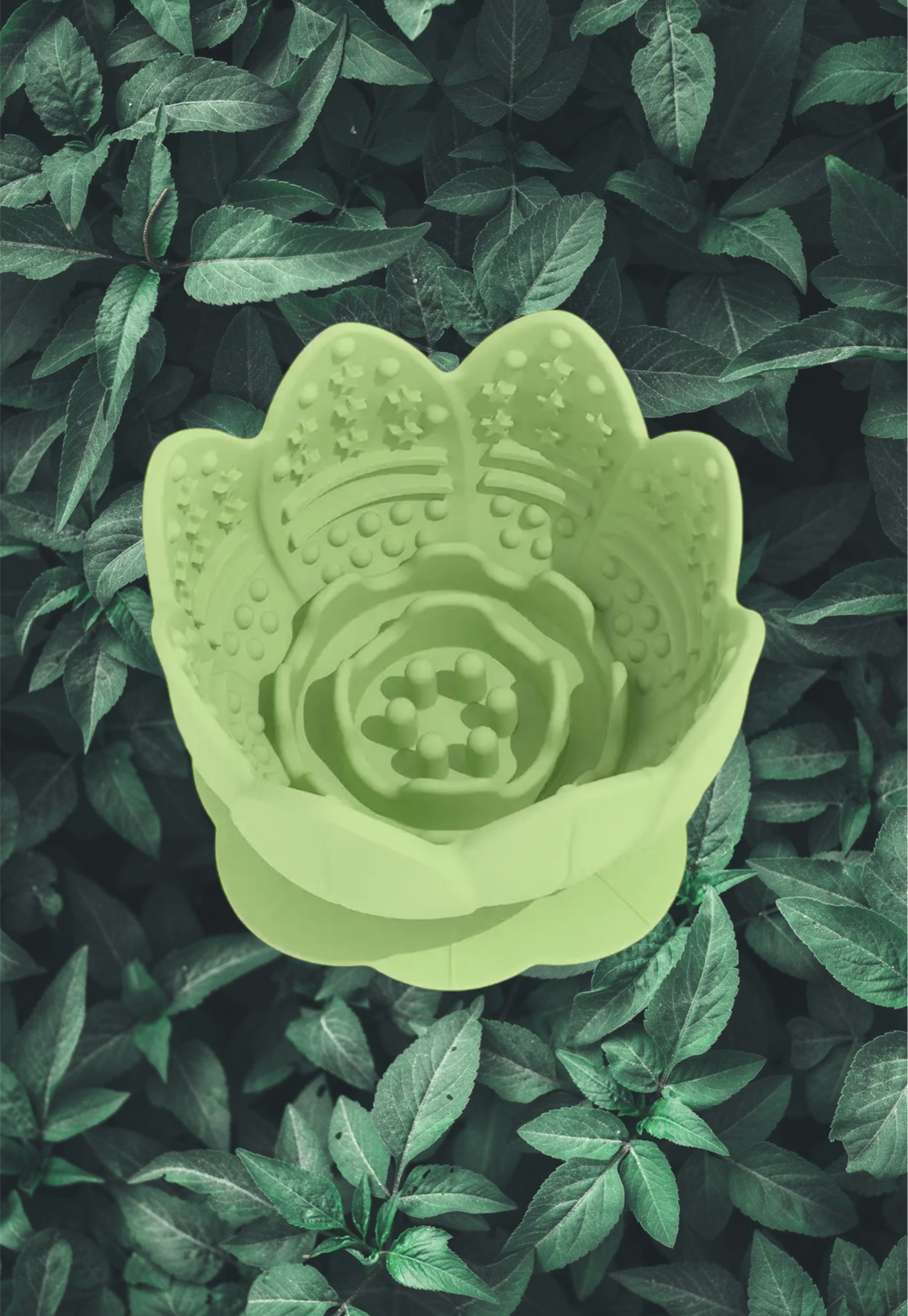 Lotus Flower Enrichment Pot