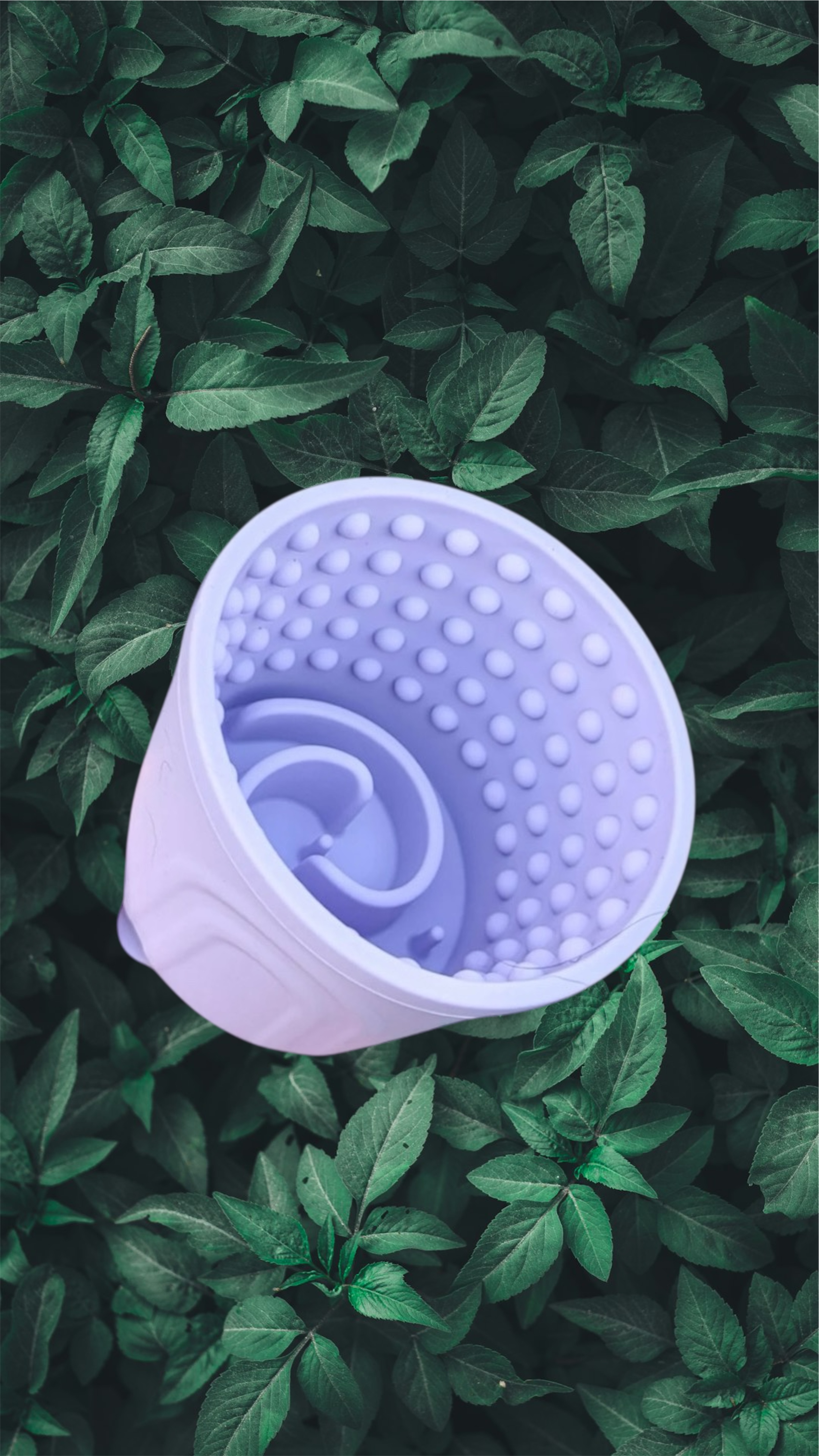 Bubble Lick Pot