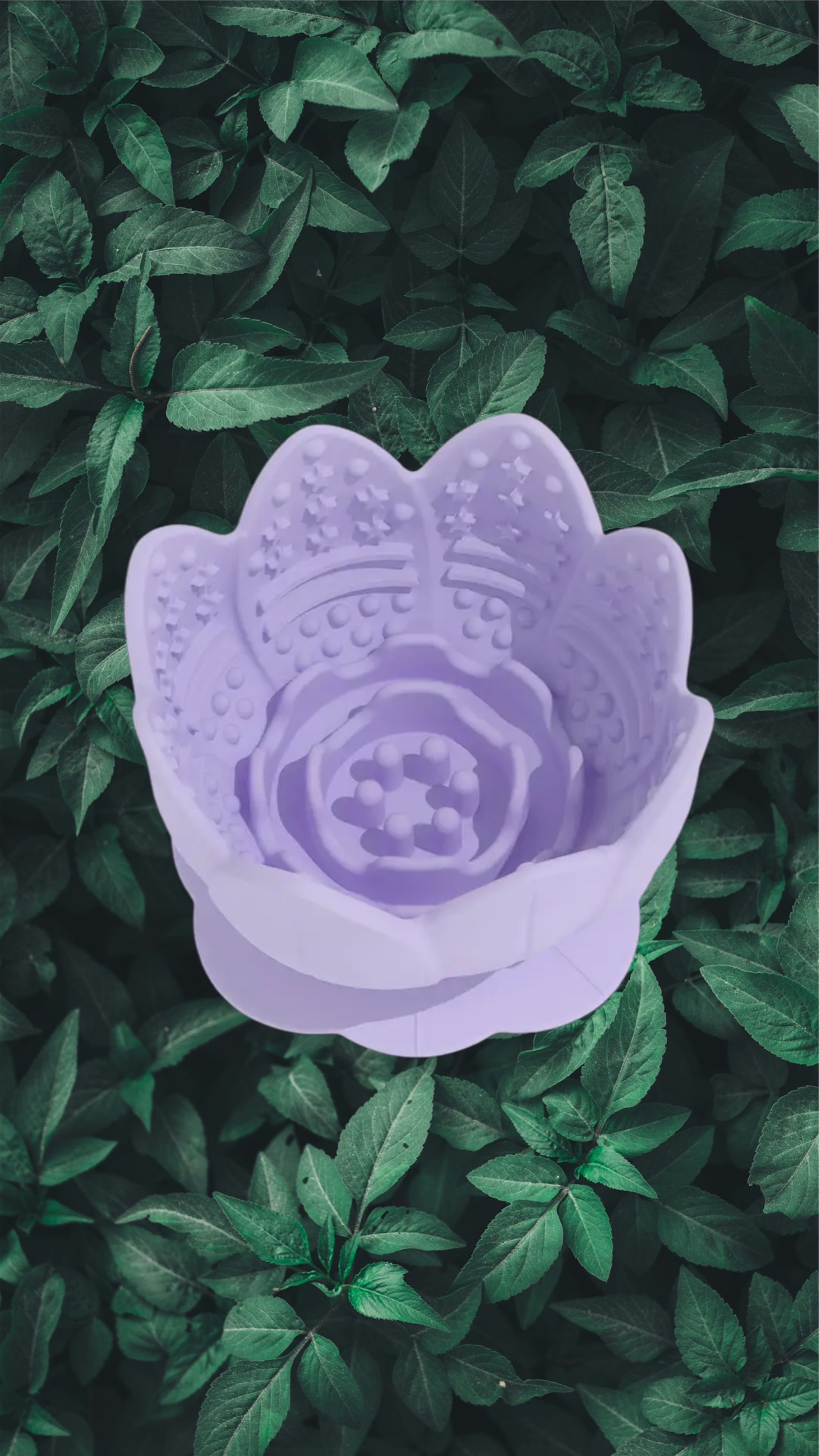 Lotus Flower Enrichment Pot