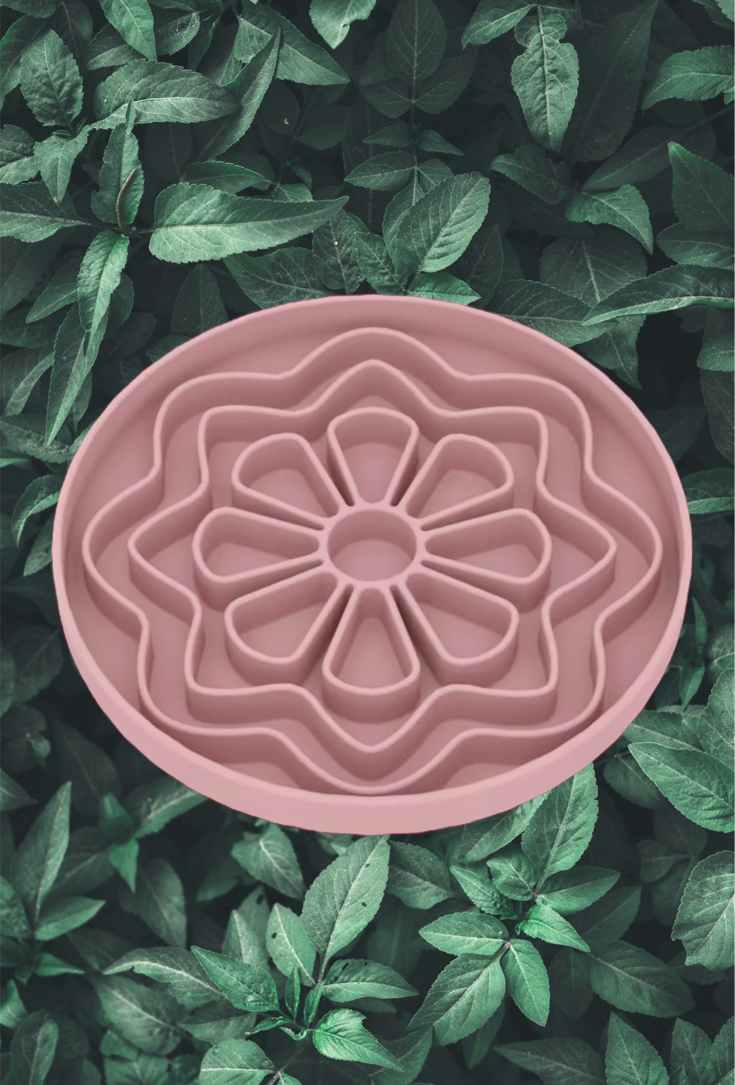 Geo Flower Enrichment Bowl