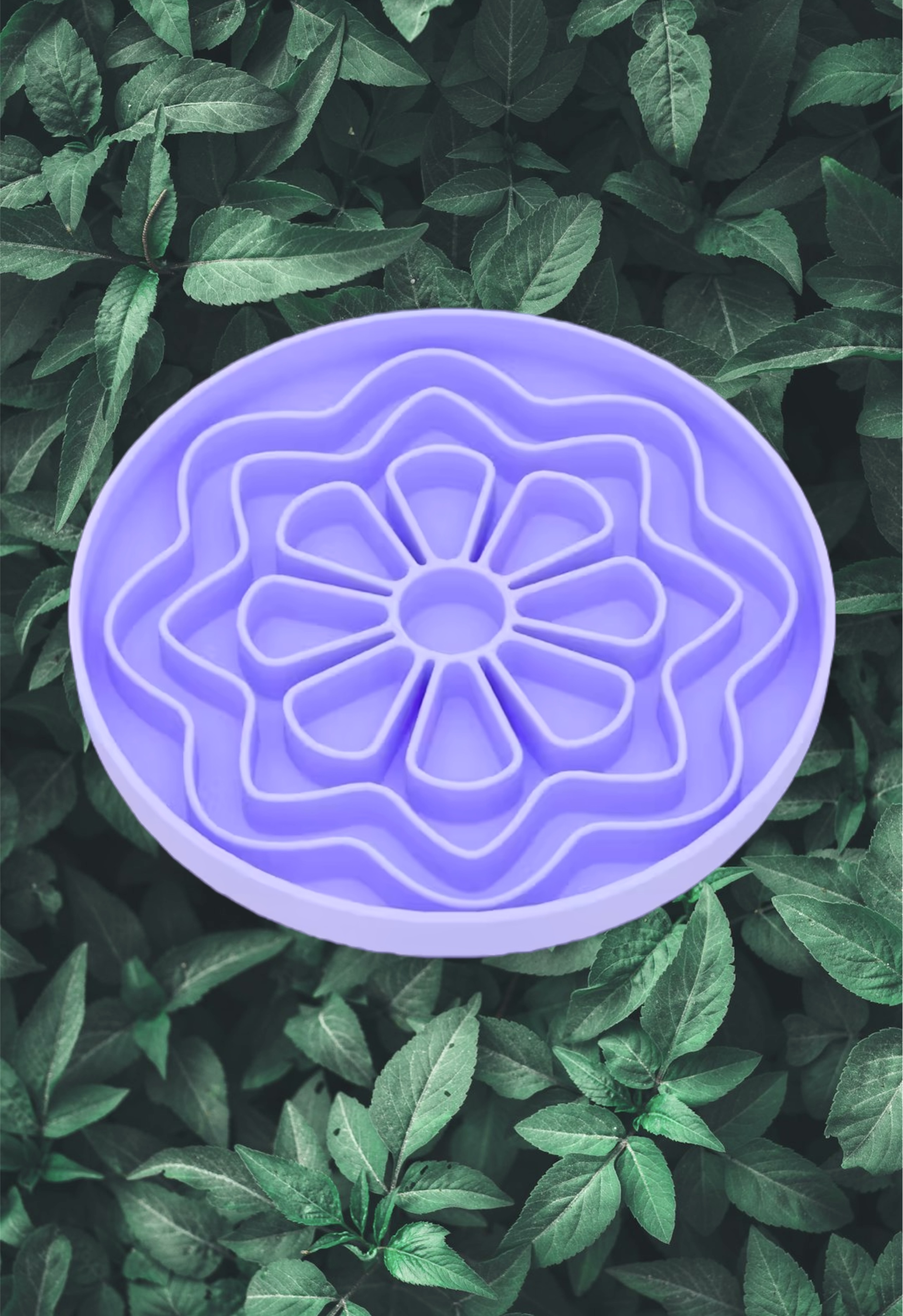 Geo Flower Enrichment Bowl
