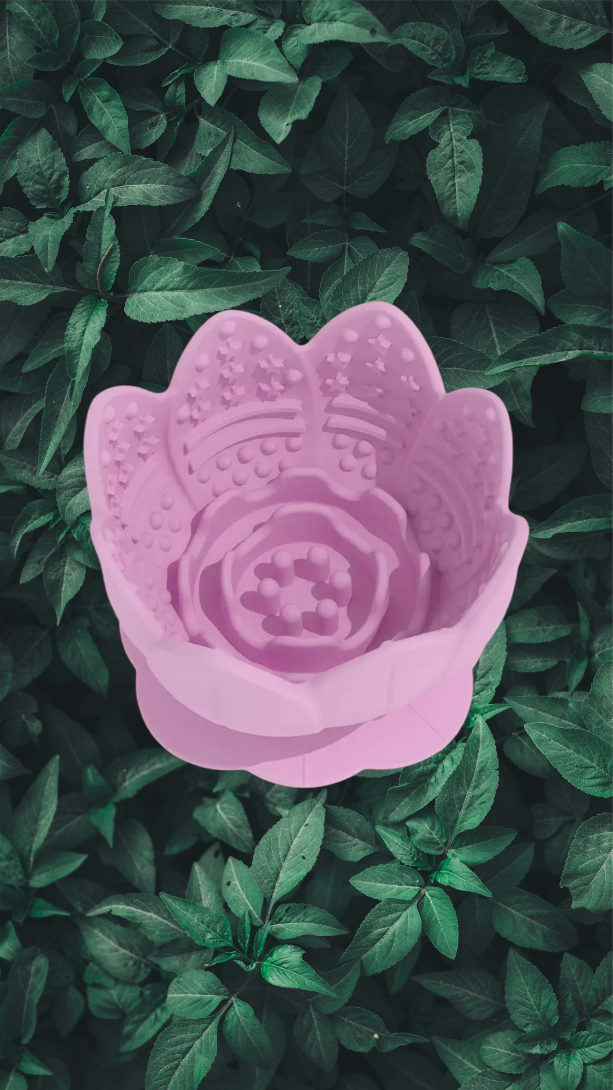 Lotus Flower Enrichment Pot