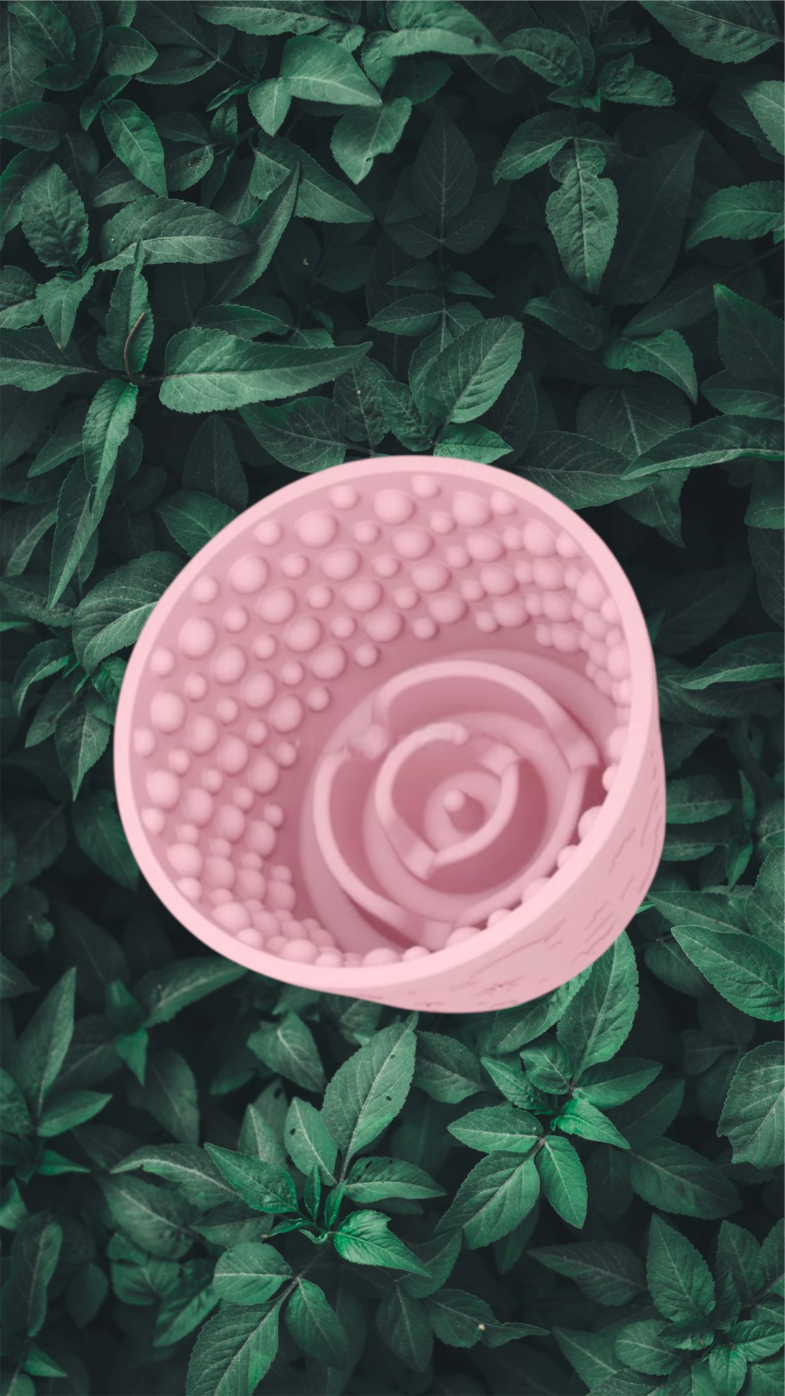 Bubble Lick Pot