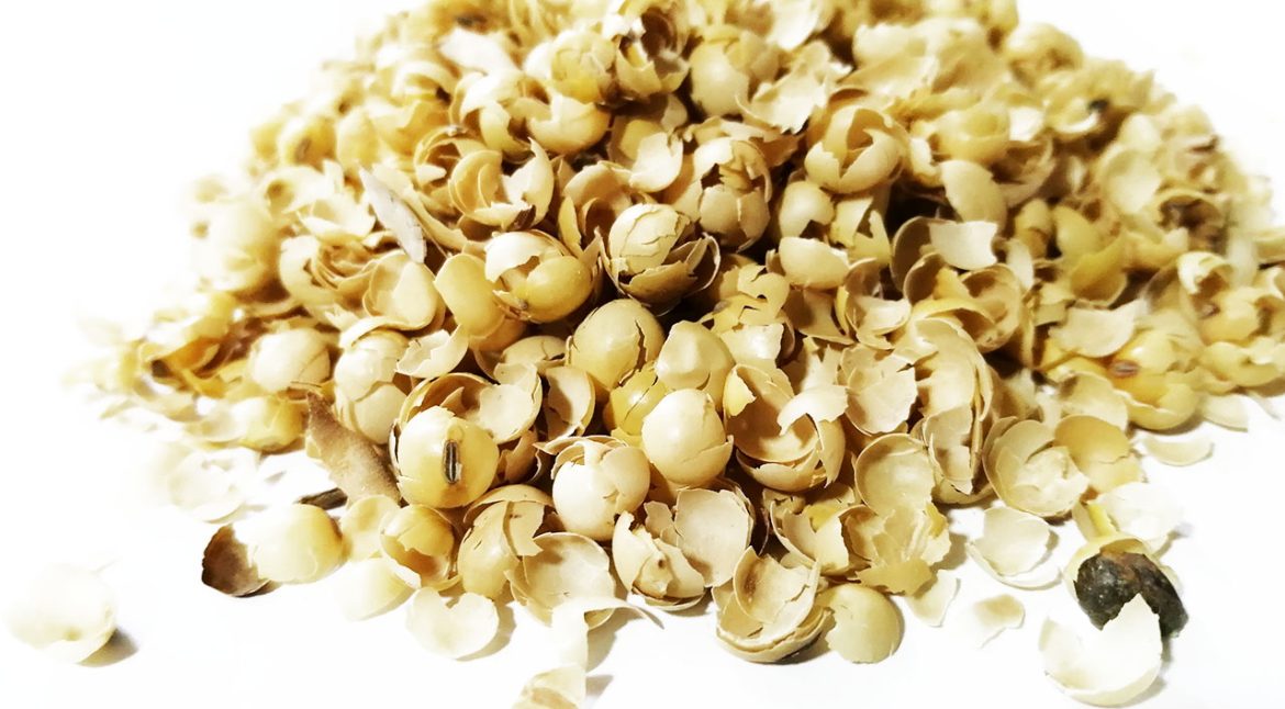 Cascarilla de Soya Entera