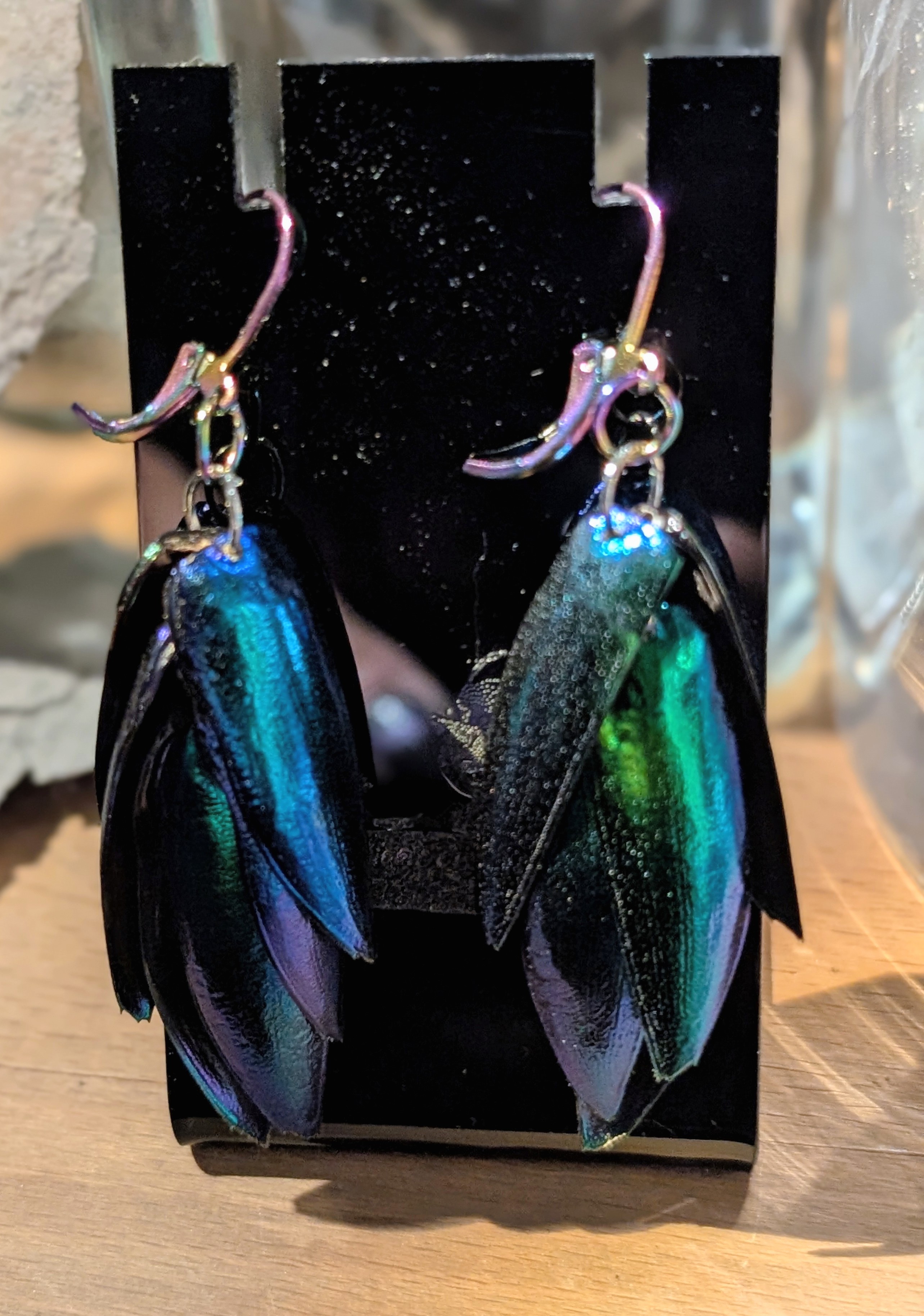 Jewel Beetle Earrings