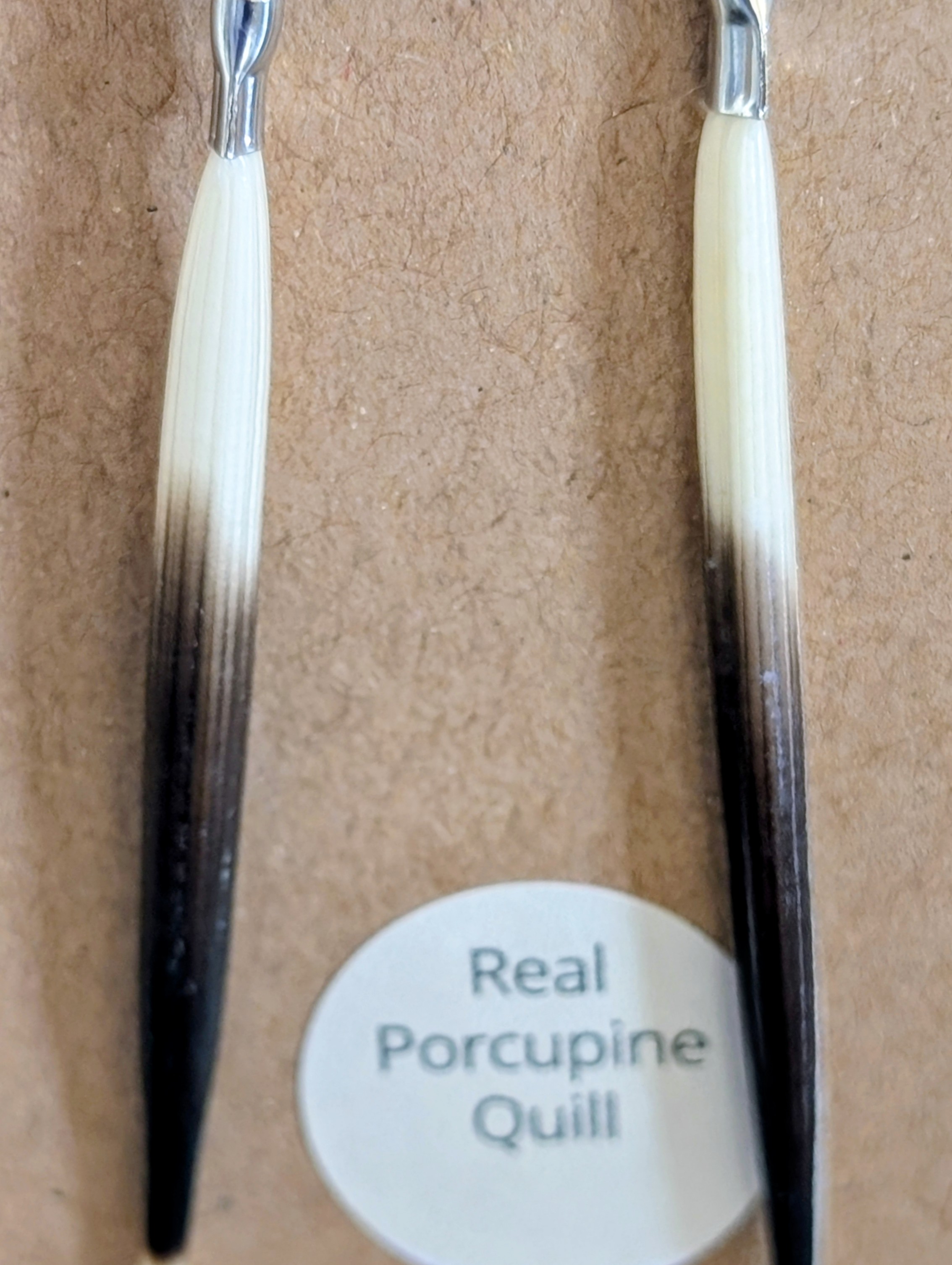 Genuine Porcupine Quill Earrings