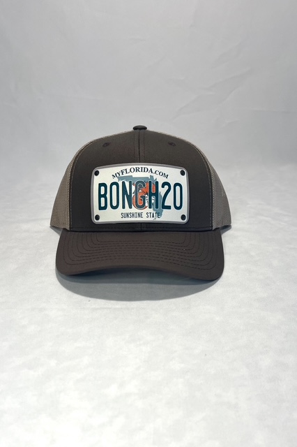 State License Plate in different colors.  The FL in brown is an option. 