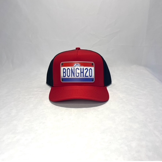 The Ohio State Plate in matching Buckeye colors.  