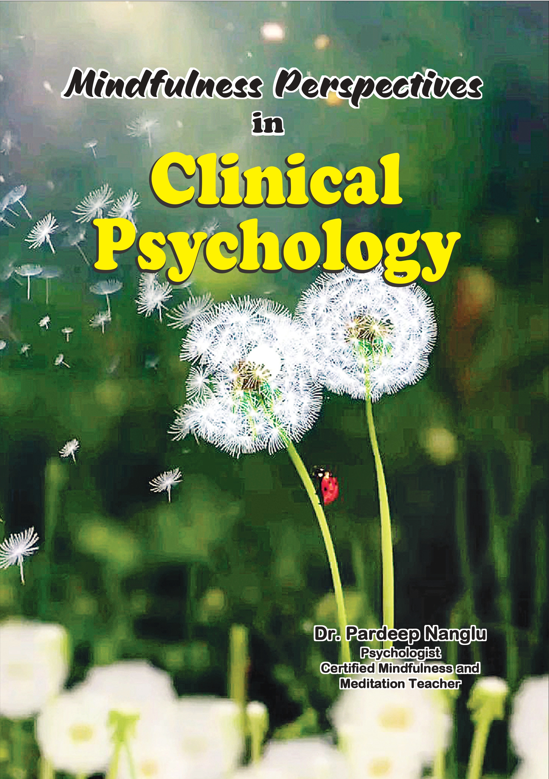 Mindfulness Perspectives in Clinical Psychology