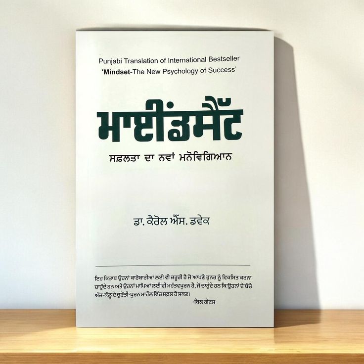 Mindset (Punjabi Translation)