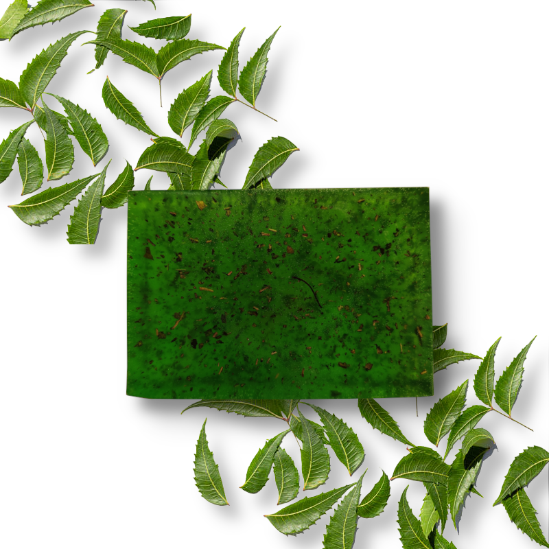 Neem Soap