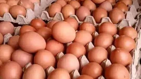 Fresh Brown Eggs