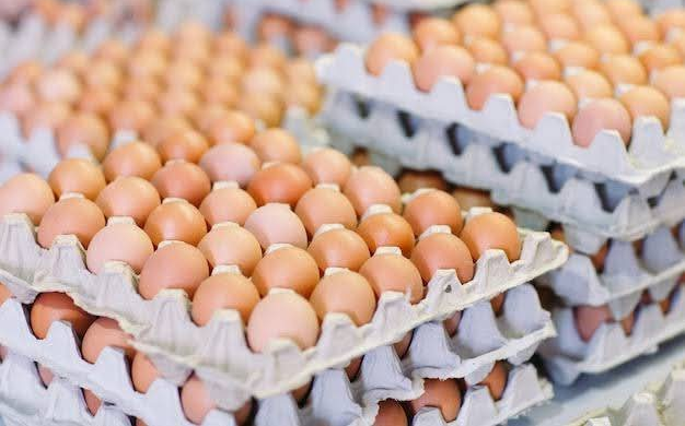 Fresh Chicken Eggs