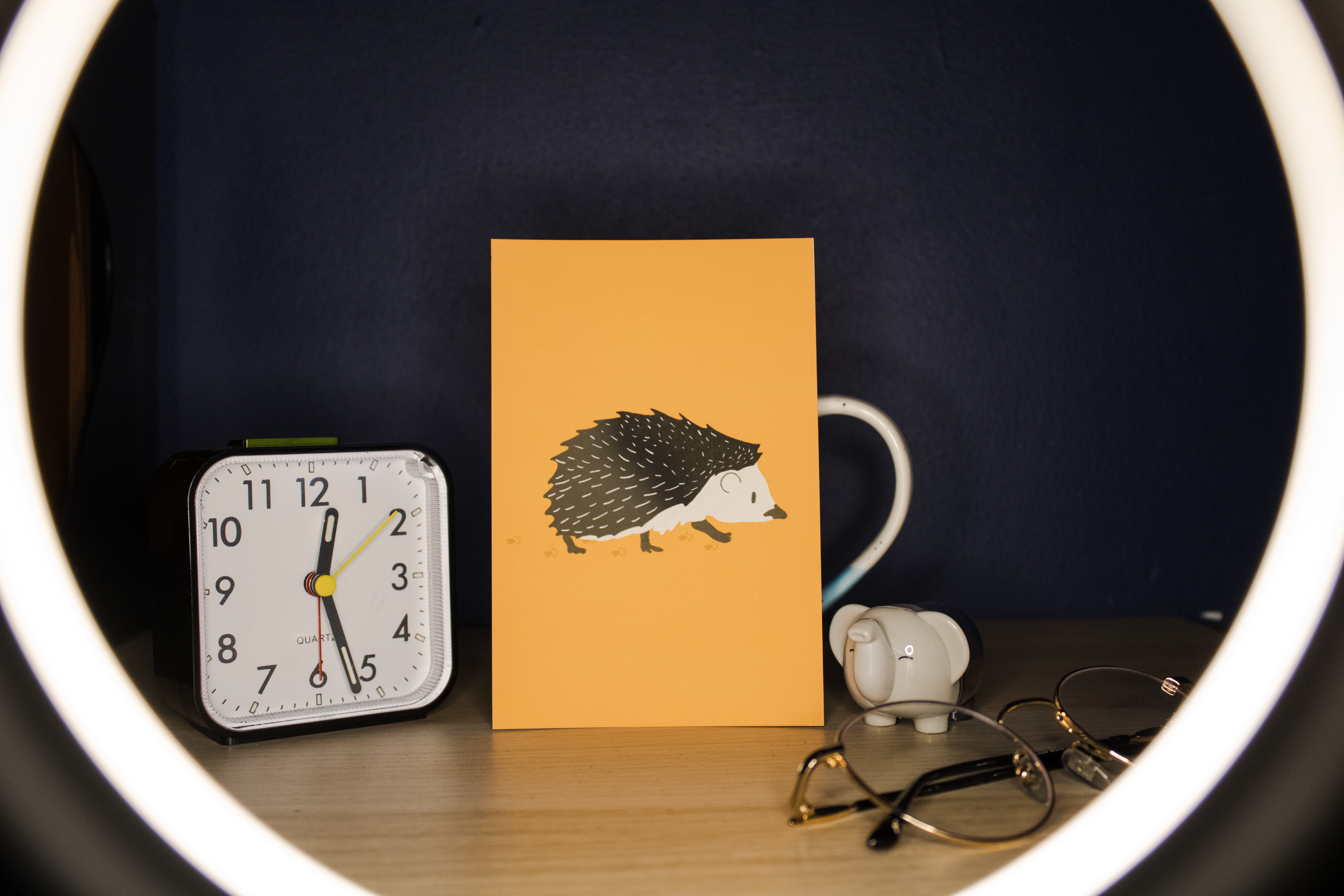 Hedgehog Illustration Print 6x4"