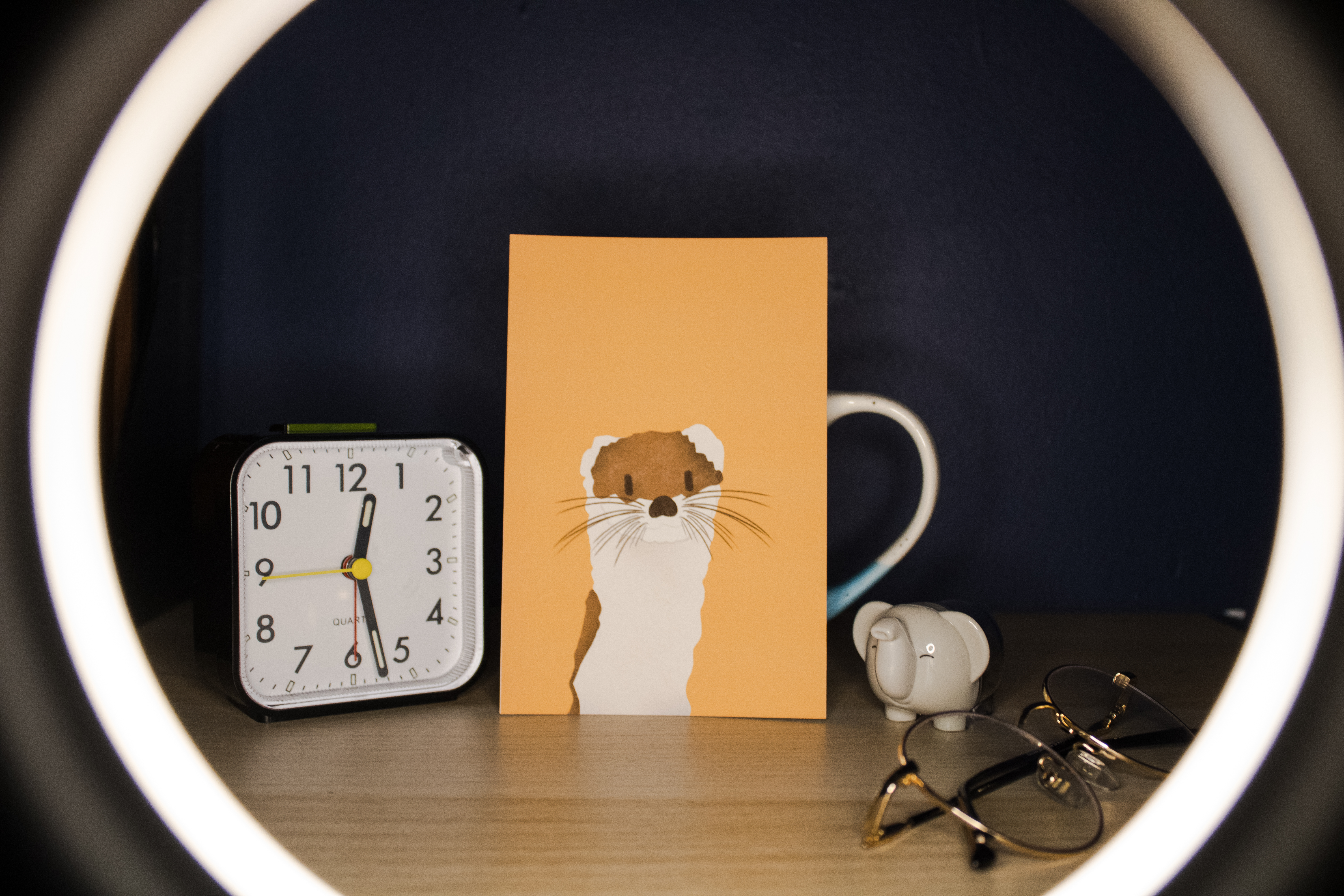 Ferret Illustration Print 6x4"