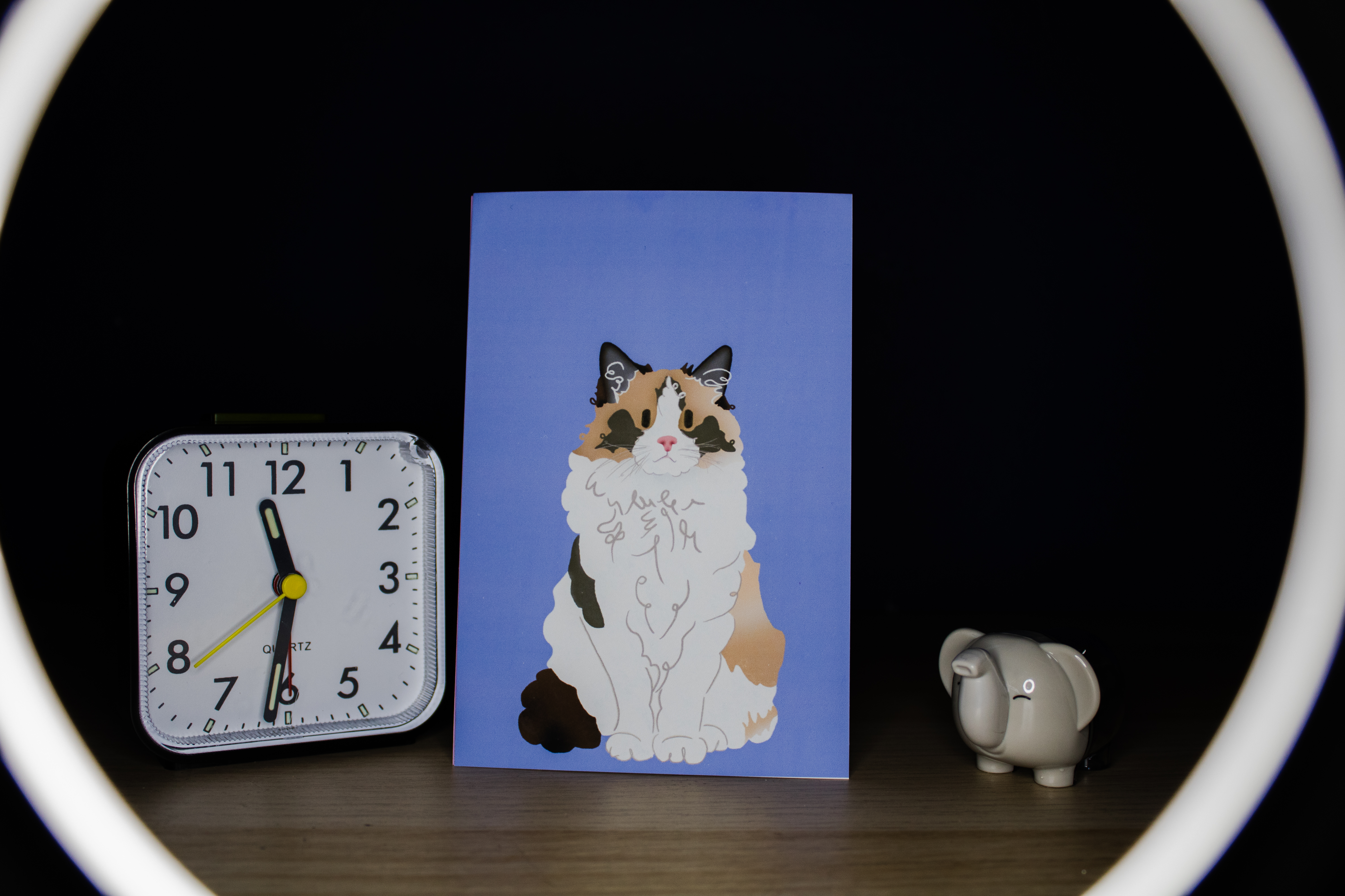 Ragdoll Cat Illustrated Print – 6x4"