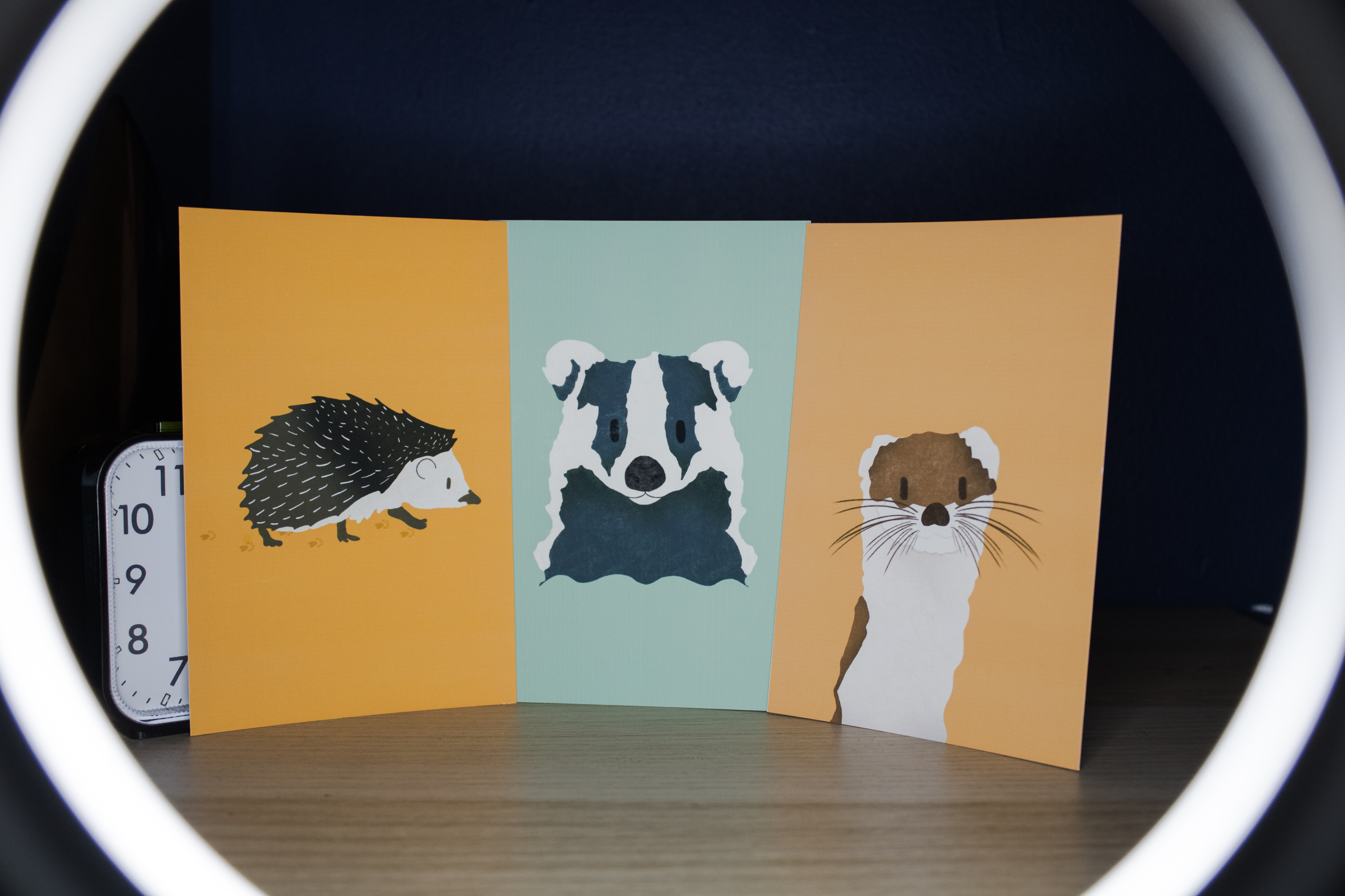 Print Bundle 6x4" Hedgehog, Ferret & Badger