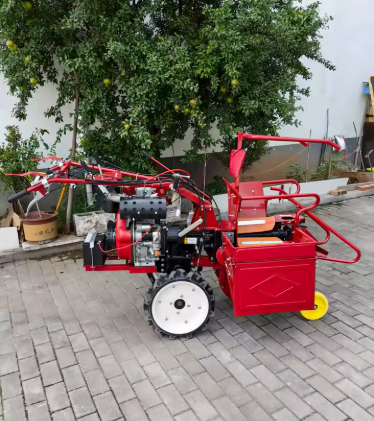 Moissonneuse récolteuse de maïs