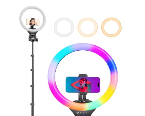 BLUE Loose Flower Photo Arch with Ring light stand