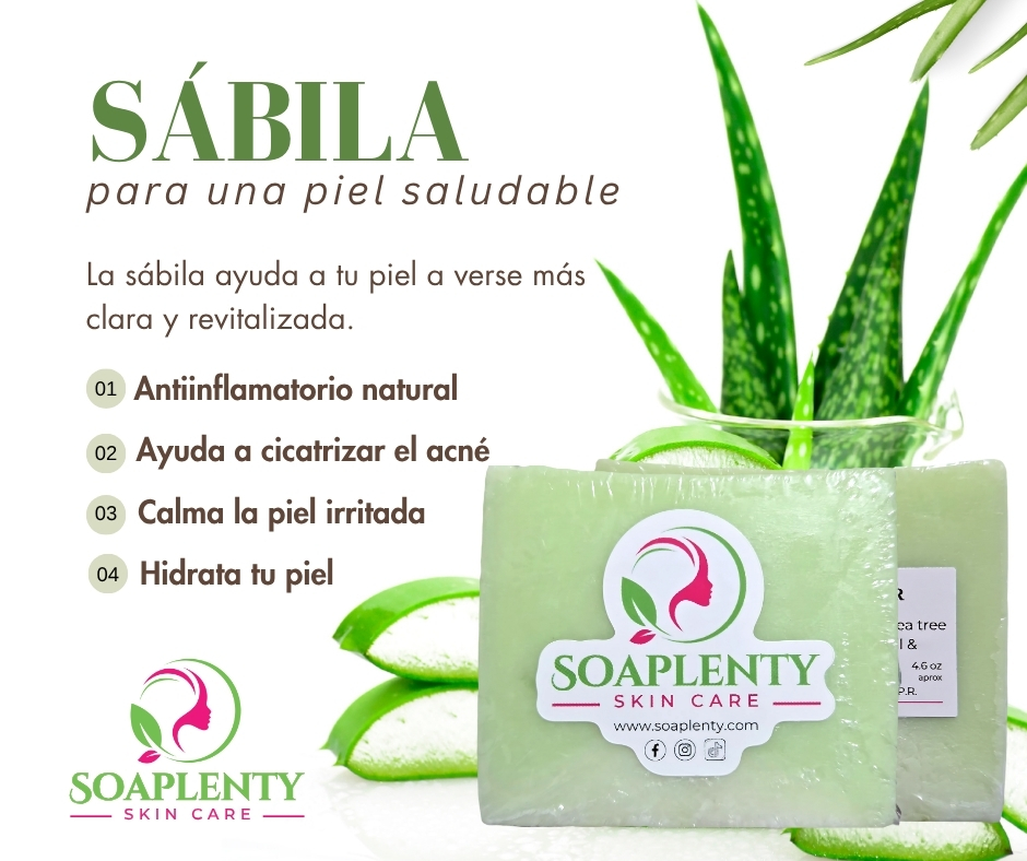 Aloe Vera & Tea Tree Oil Soap Bar