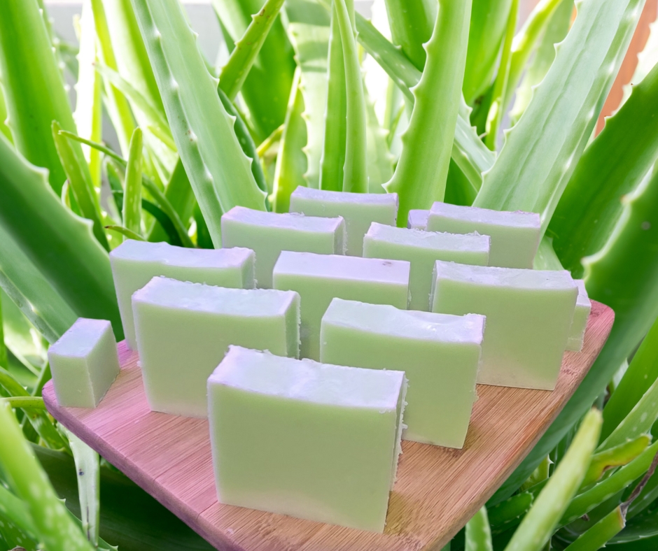 Aloe Vera & Tea Tree Oil Soap Bar