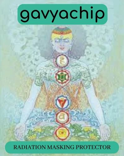 Gavyachip