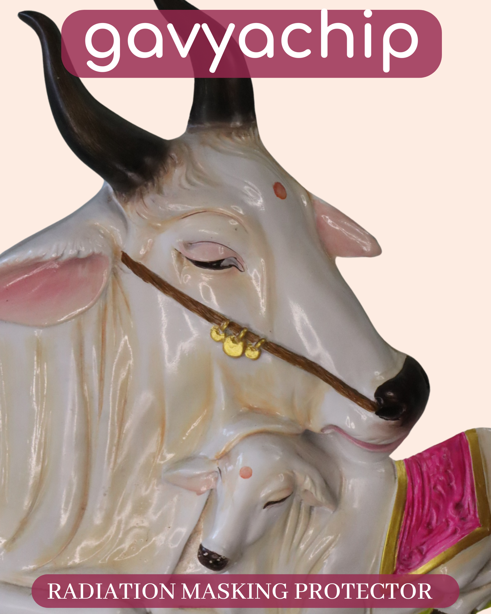 Gavyachip